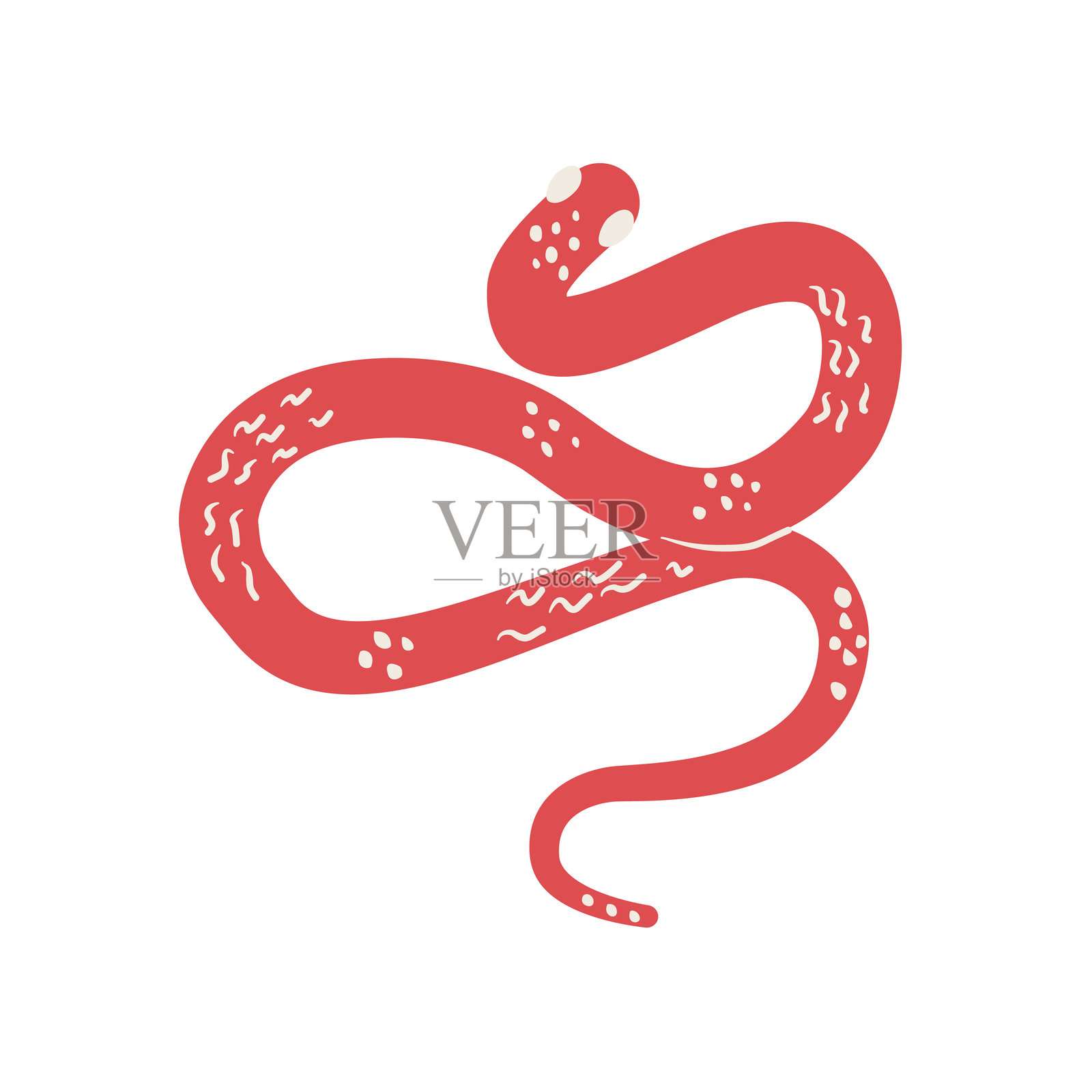 蛇是中国新年的象征。2025年农历新年生肖蛇，白色背景上的孤立图像。矢量手绘平面插图。插画图片素材