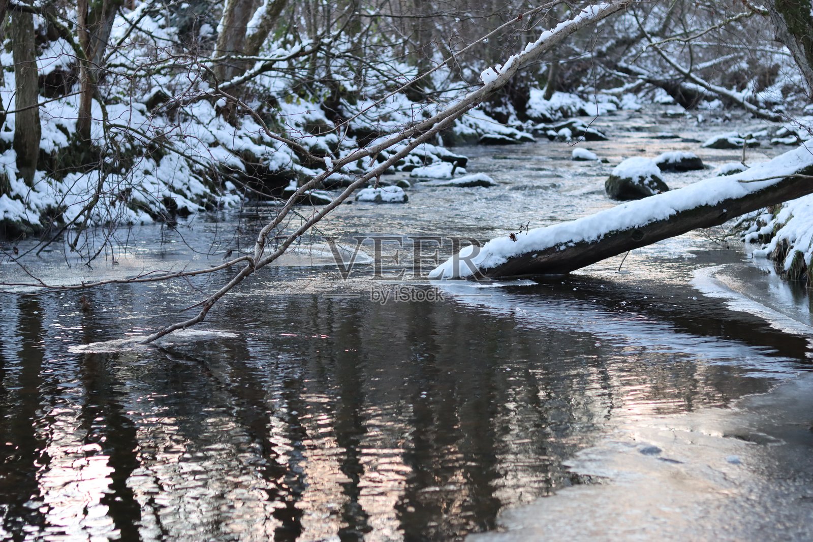 冬季雪覆盖的林地中的河流照片摄影图片