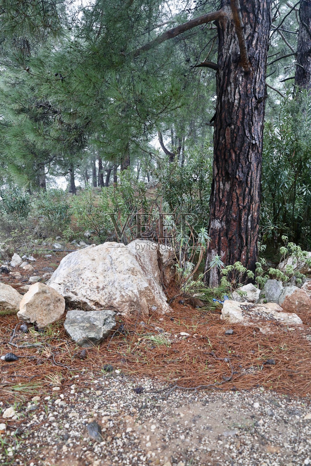 冬季山中的自然景观照片摄影图片