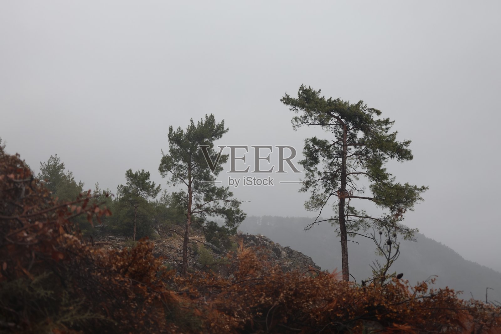 冬季山中的自然景观照片摄影图片