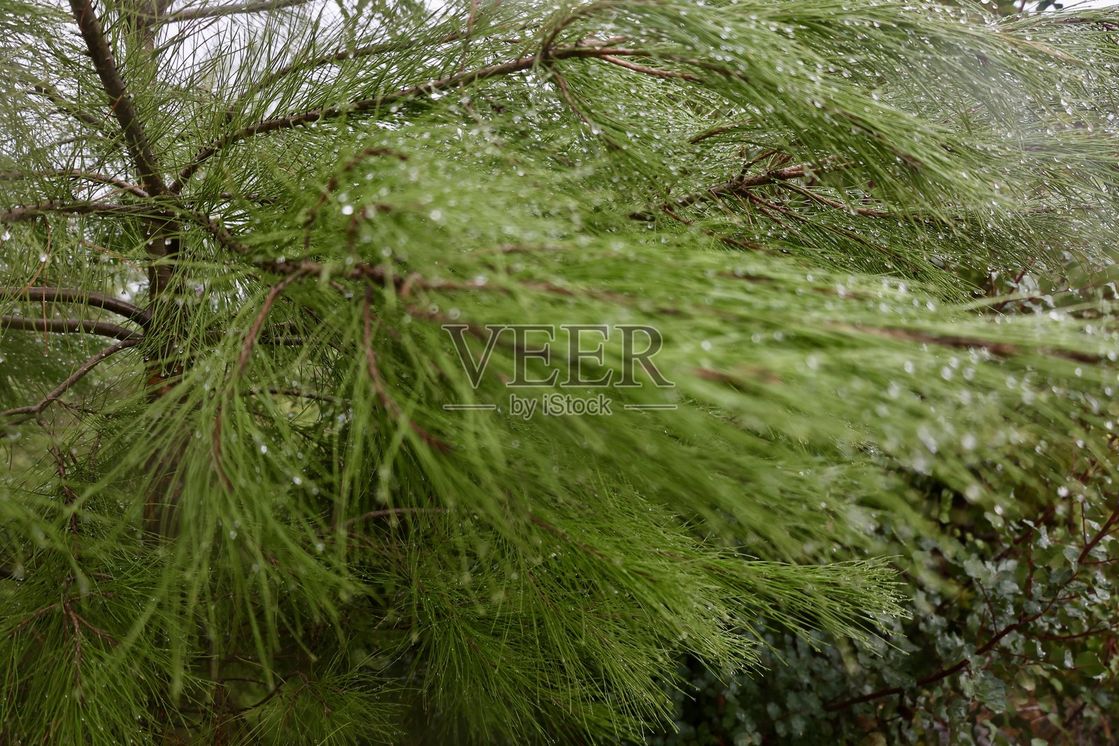 冬季山中的自然景观照片摄影图片