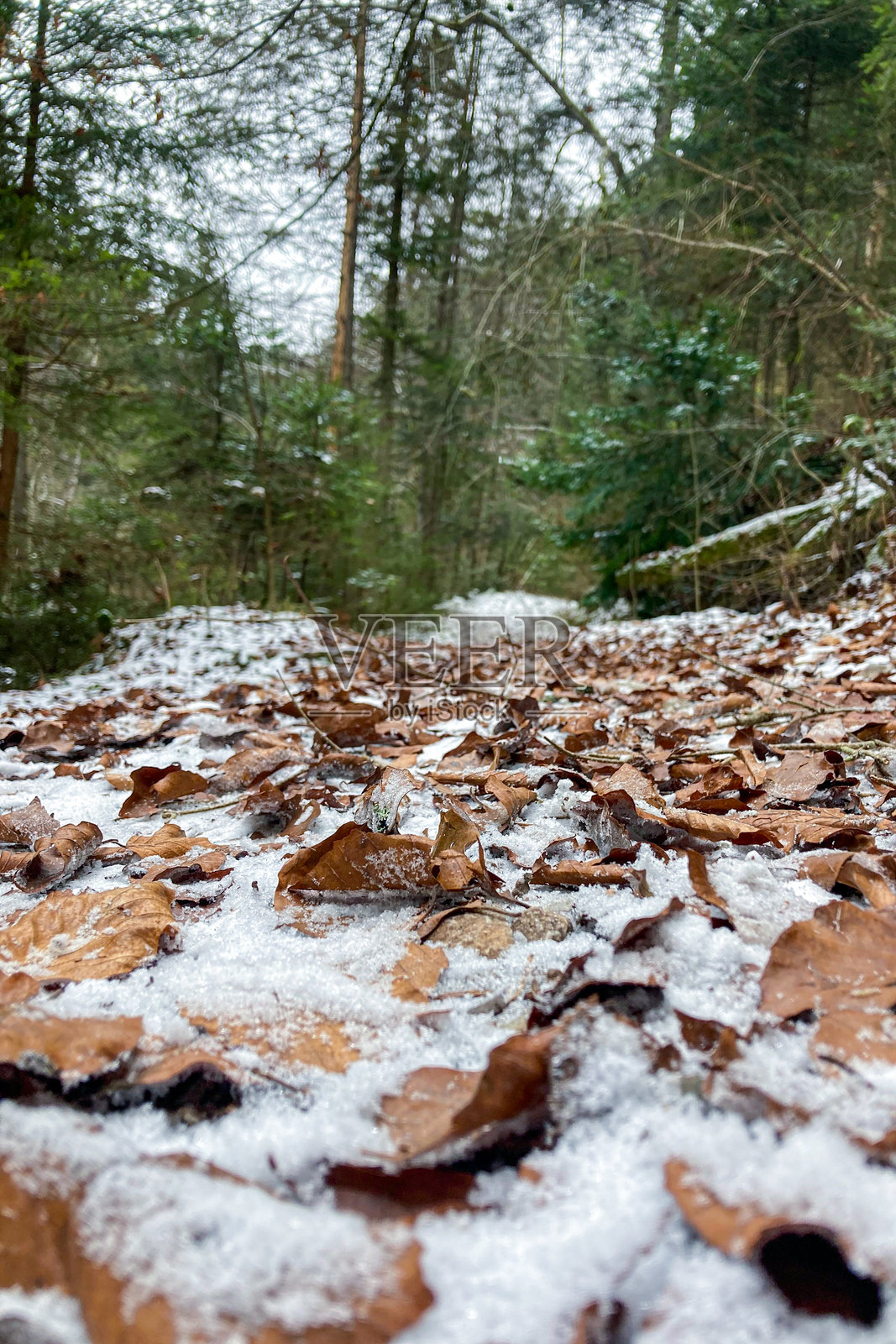 寒冷的冬季徒步旅行到托马索夫斯基景观，这是一处令人惊叹的岩石形成，提供令人叹为观止的美景。照片摄影图片