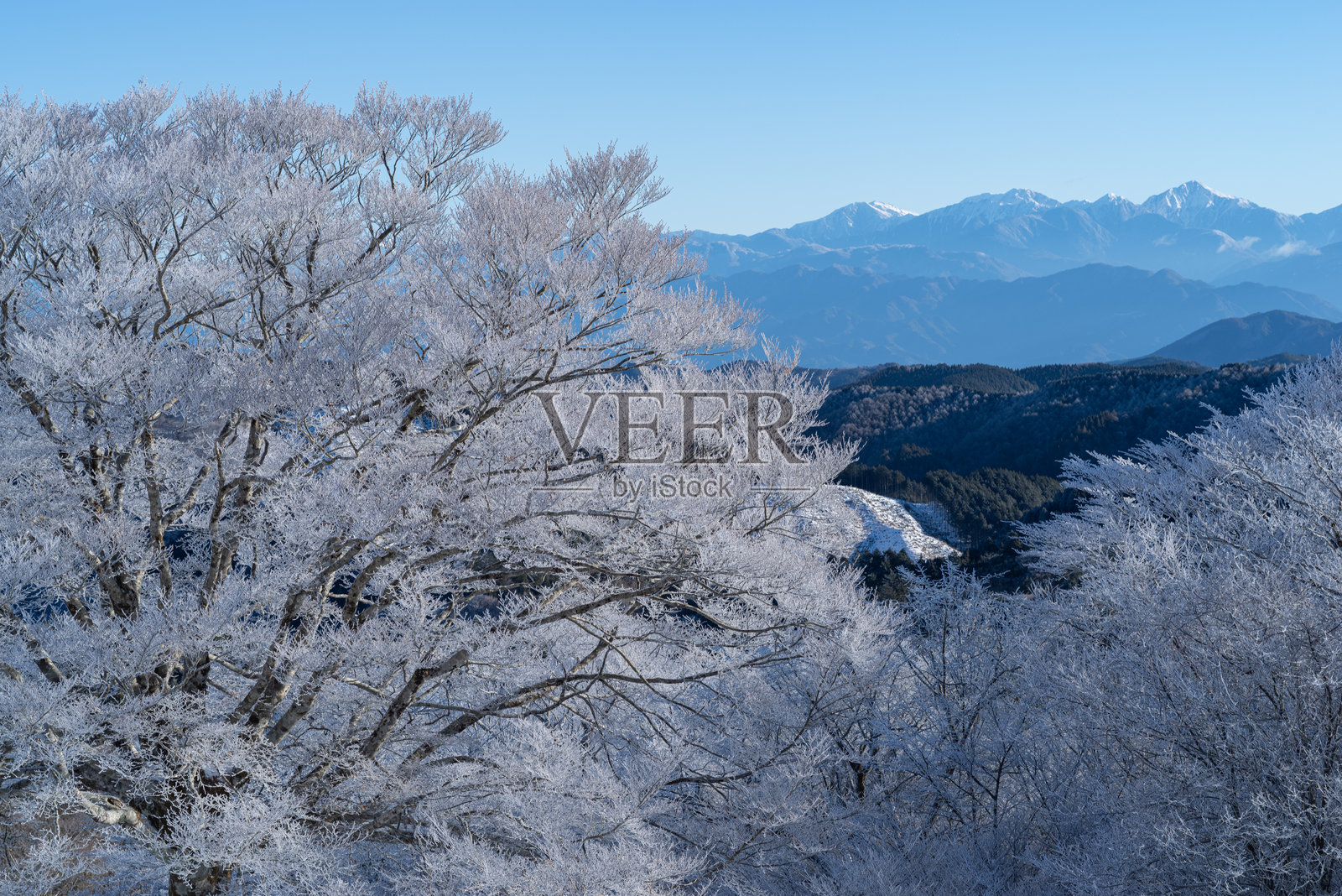 日本南阿尔卑斯山的霜冻树木和白雪皑皑的山脉照片摄影图片