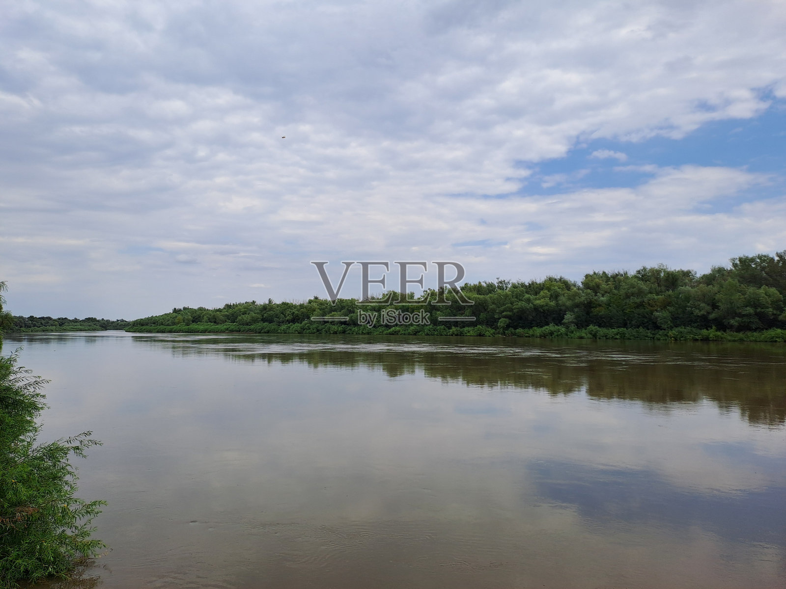 河岸植被在水中的倒影照片摄影图片