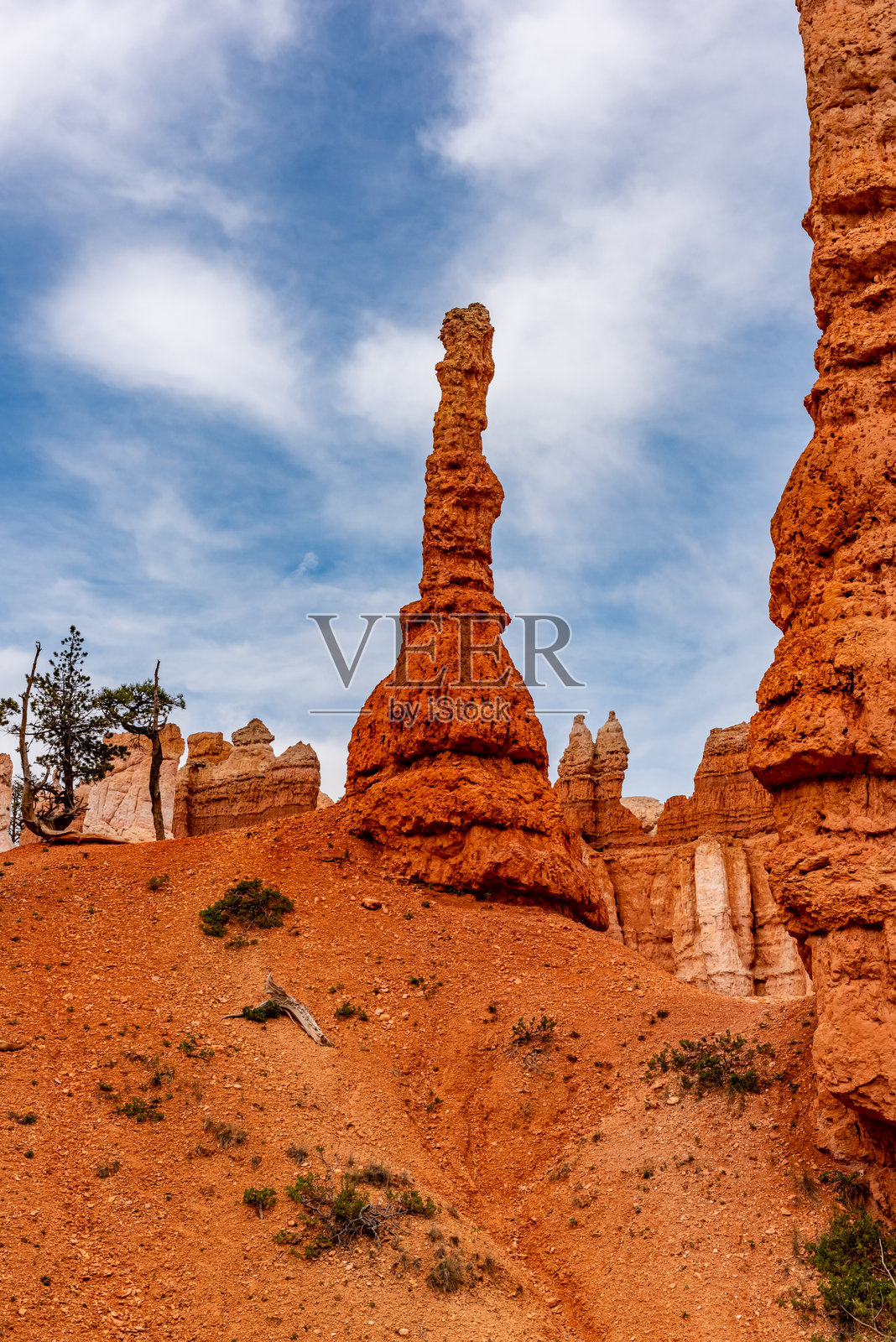 布莱斯峡谷国家公园，犹他州，美国照片摄影图片