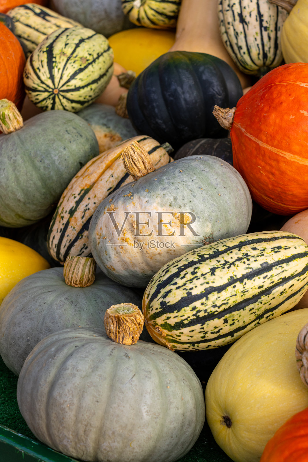 南瓜照片摄影图片