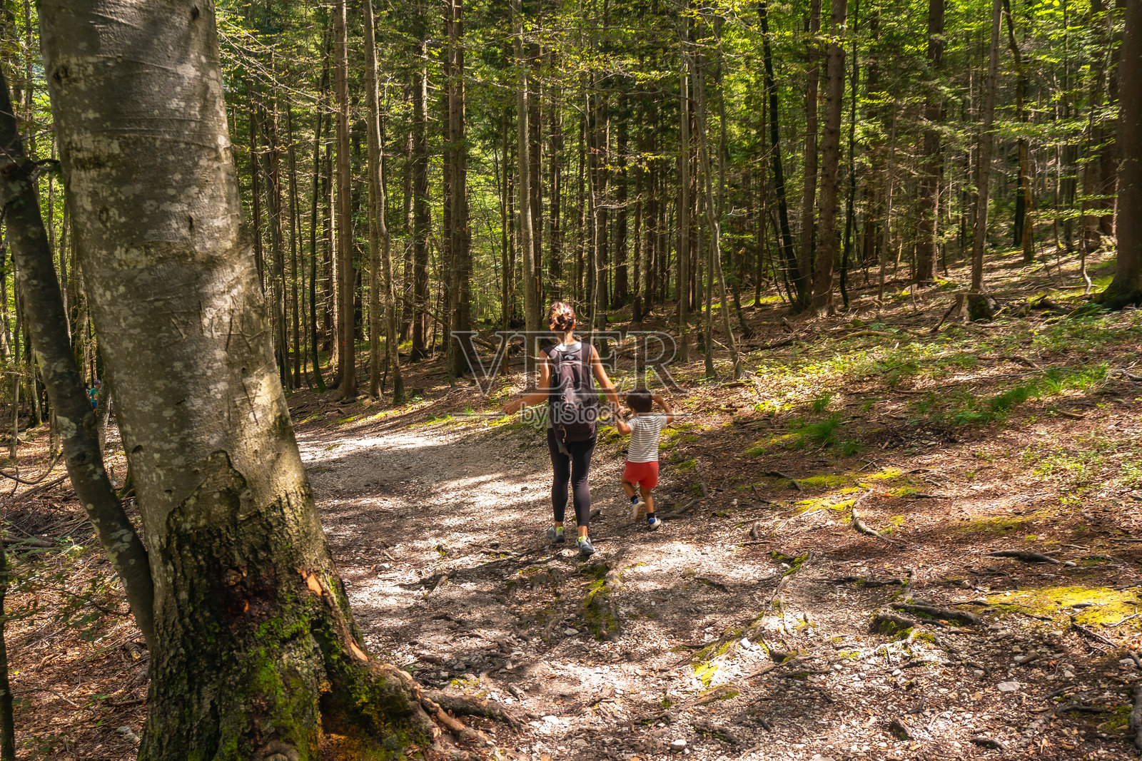 母亲和儿子在斯洛文尼亚的洛加尔斯卡山谷徒步旅行照片摄影图片