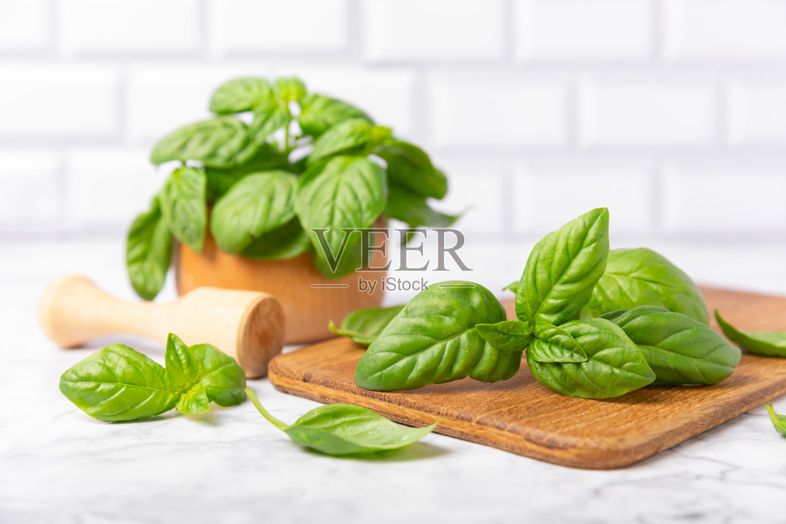 绿色罗勒叶子在有纹理的木质背景上。厨房香草，香料。新鲜的绿色有机罗勒。素食。沙拉用的绿叶。留白处。照片摄影图片