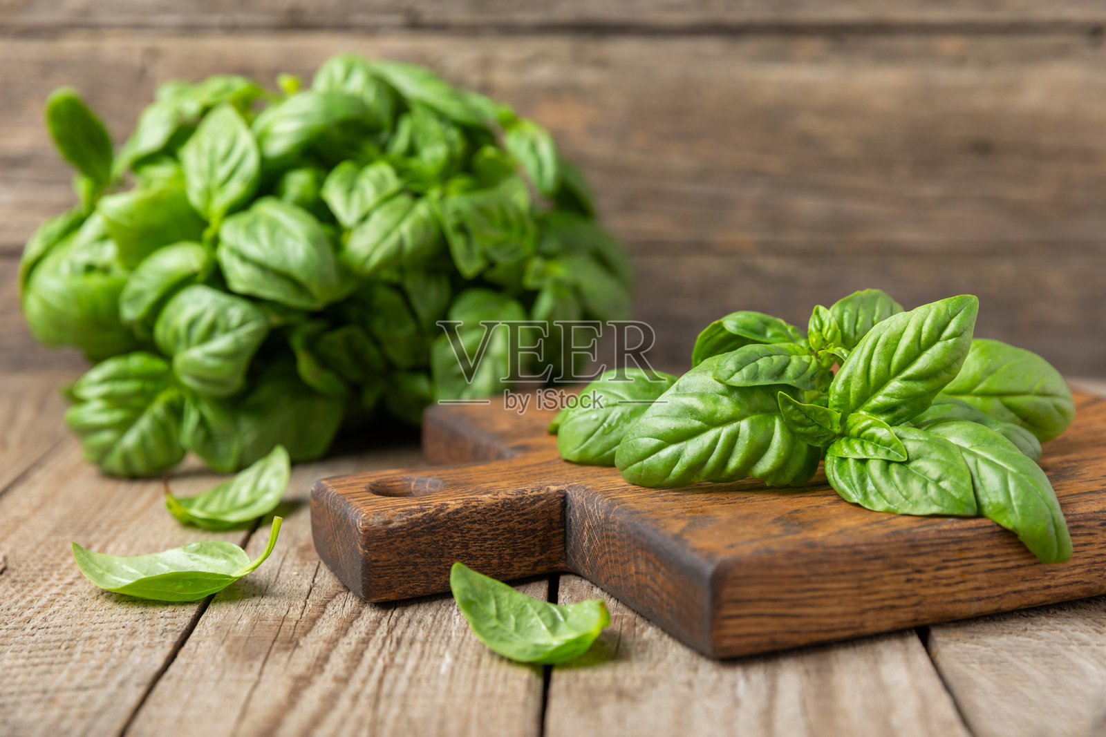 绿色罗勒叶子在有纹理的木质背景上。厨房香草，香料。新鲜的绿色有机罗勒。素食。沙拉用的绿叶。留白处。照片摄影图片