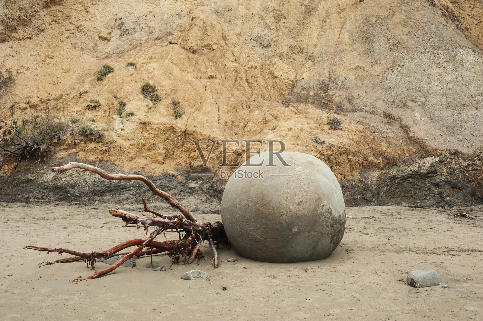 莫拉基圆石滩照片摄影图片