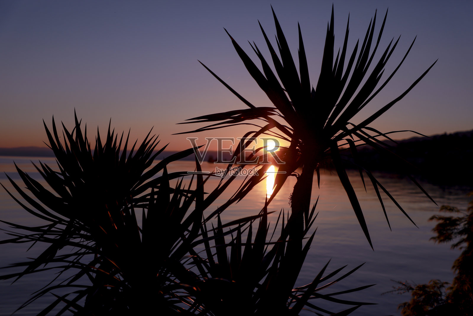 瑞士蒙特勒的日落照片摄影图片
