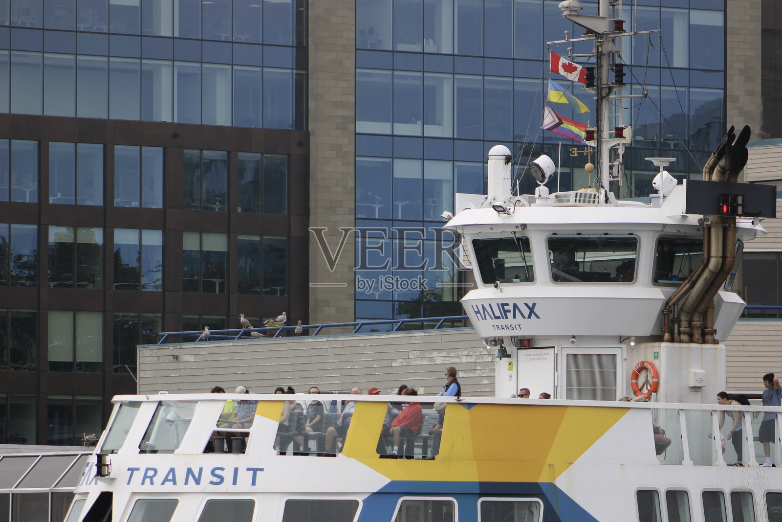 哈利法克斯达特茅斯渡轮照片摄影图片