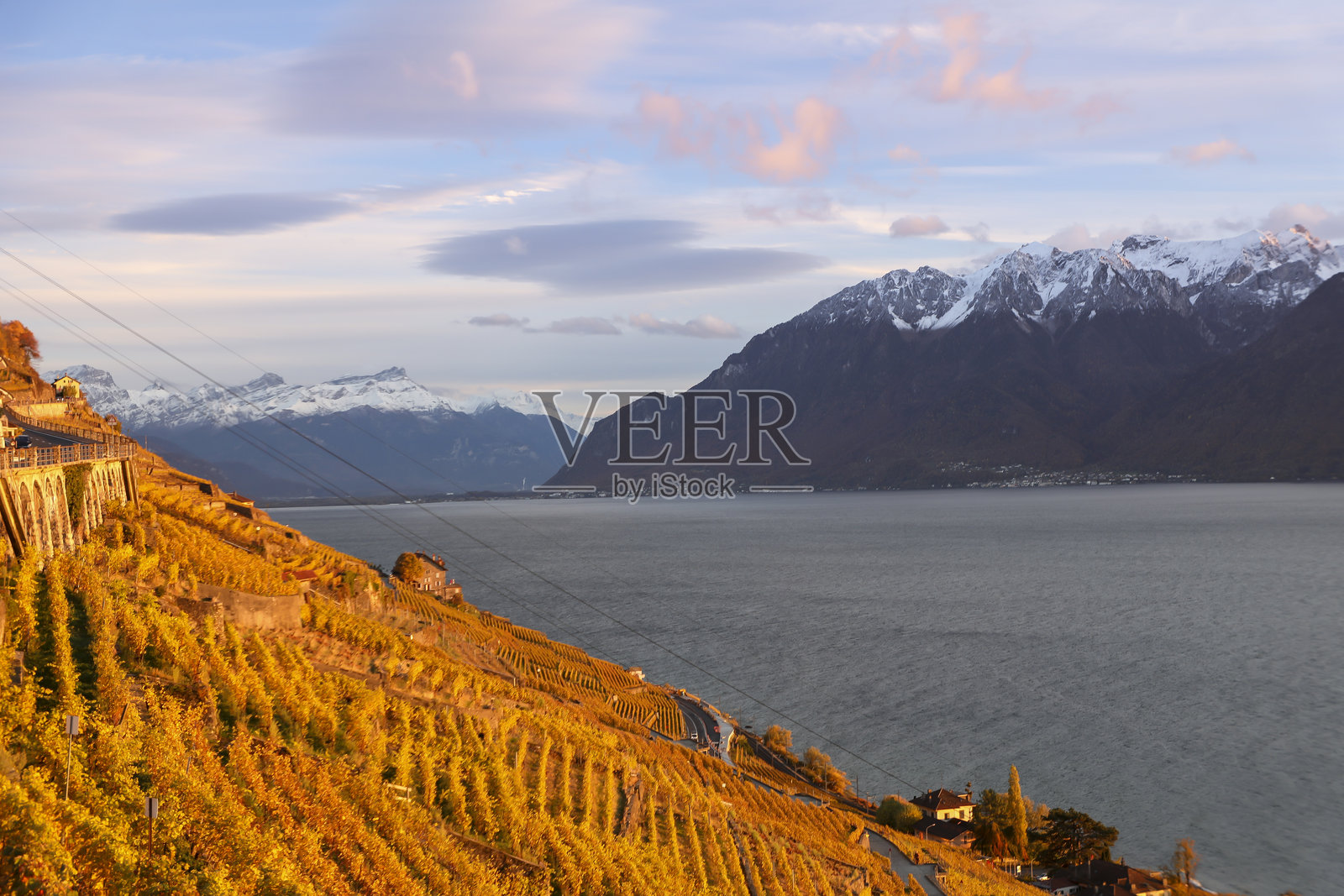 在葡萄园中徒步旅行照片摄影图片