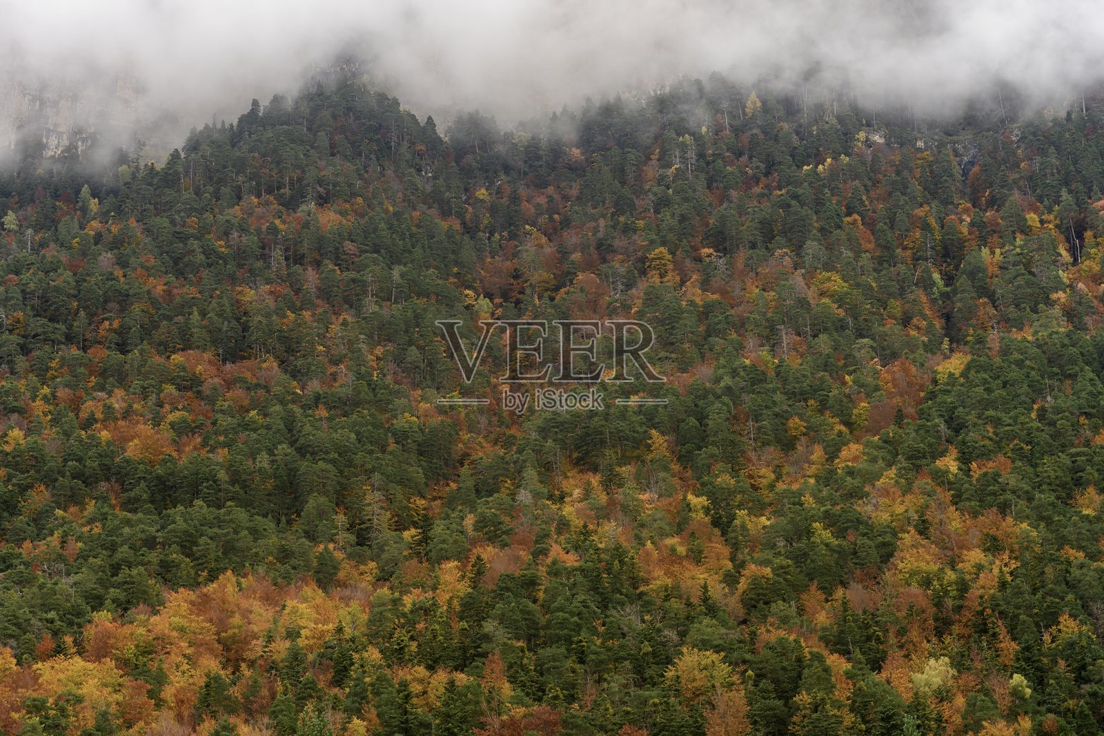 奥尔德萨和蒙特佩尔迪多国家公园 - 西班牙照片摄影图片