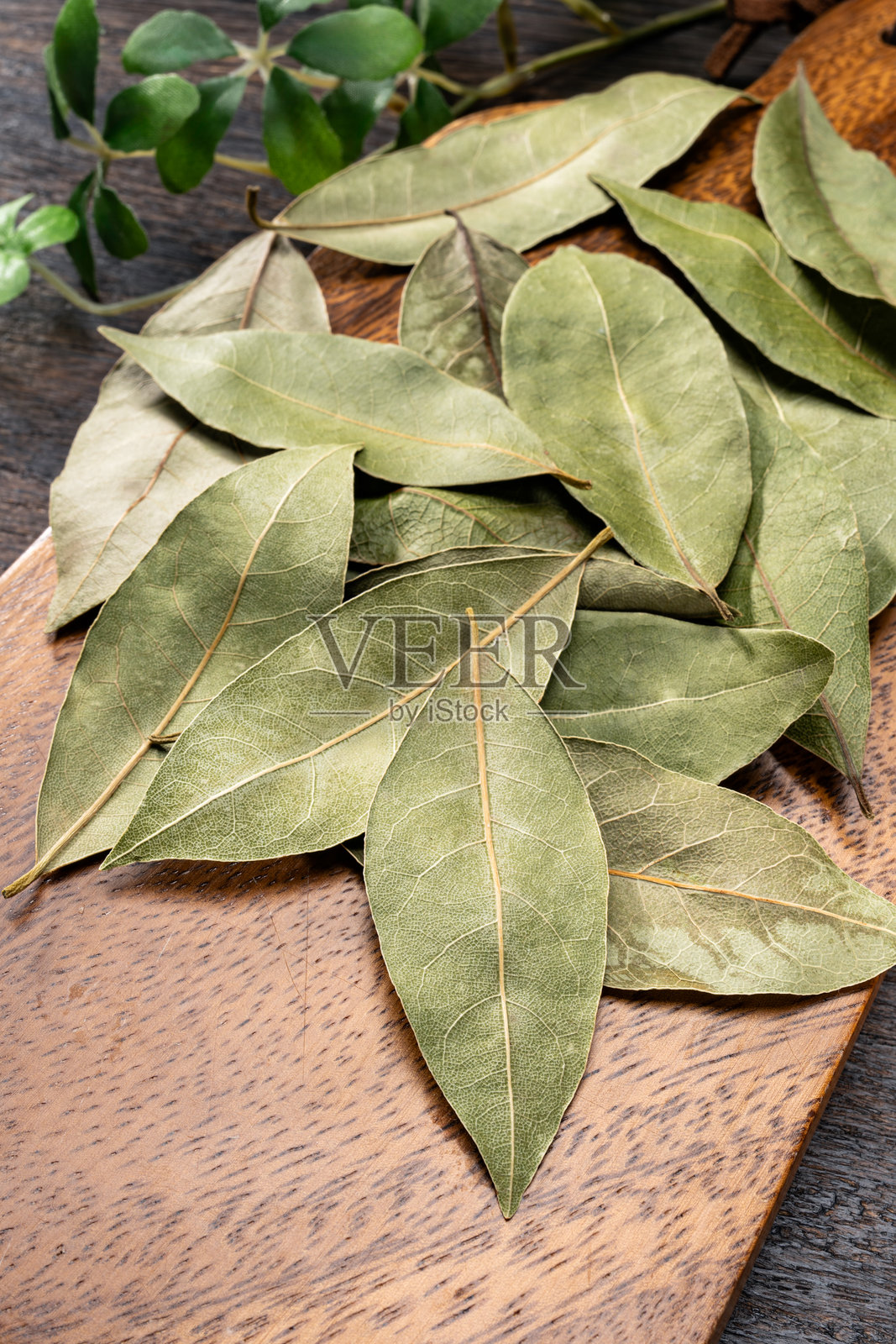 木桌上的月桂叶照片摄影图片