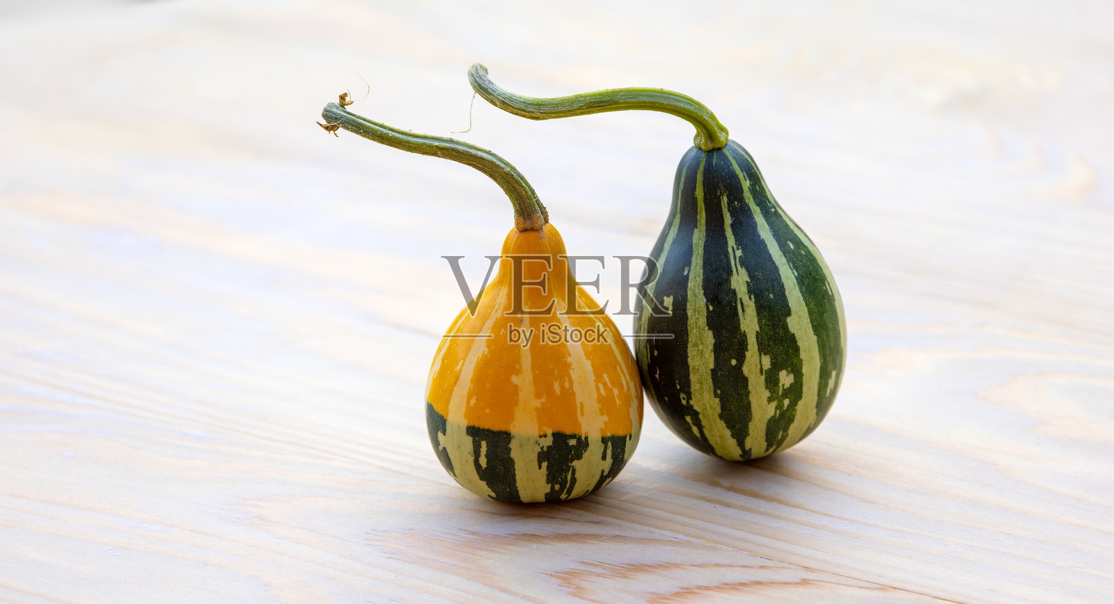 装饰过的南瓜照片摄影图片