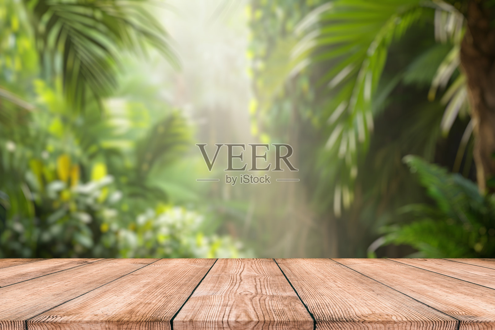户外热带花园森林中的木质桌面讲台，模糊的绿色植物背景。自然产品展示的台座，丛林天堂概念。照片摄影图片