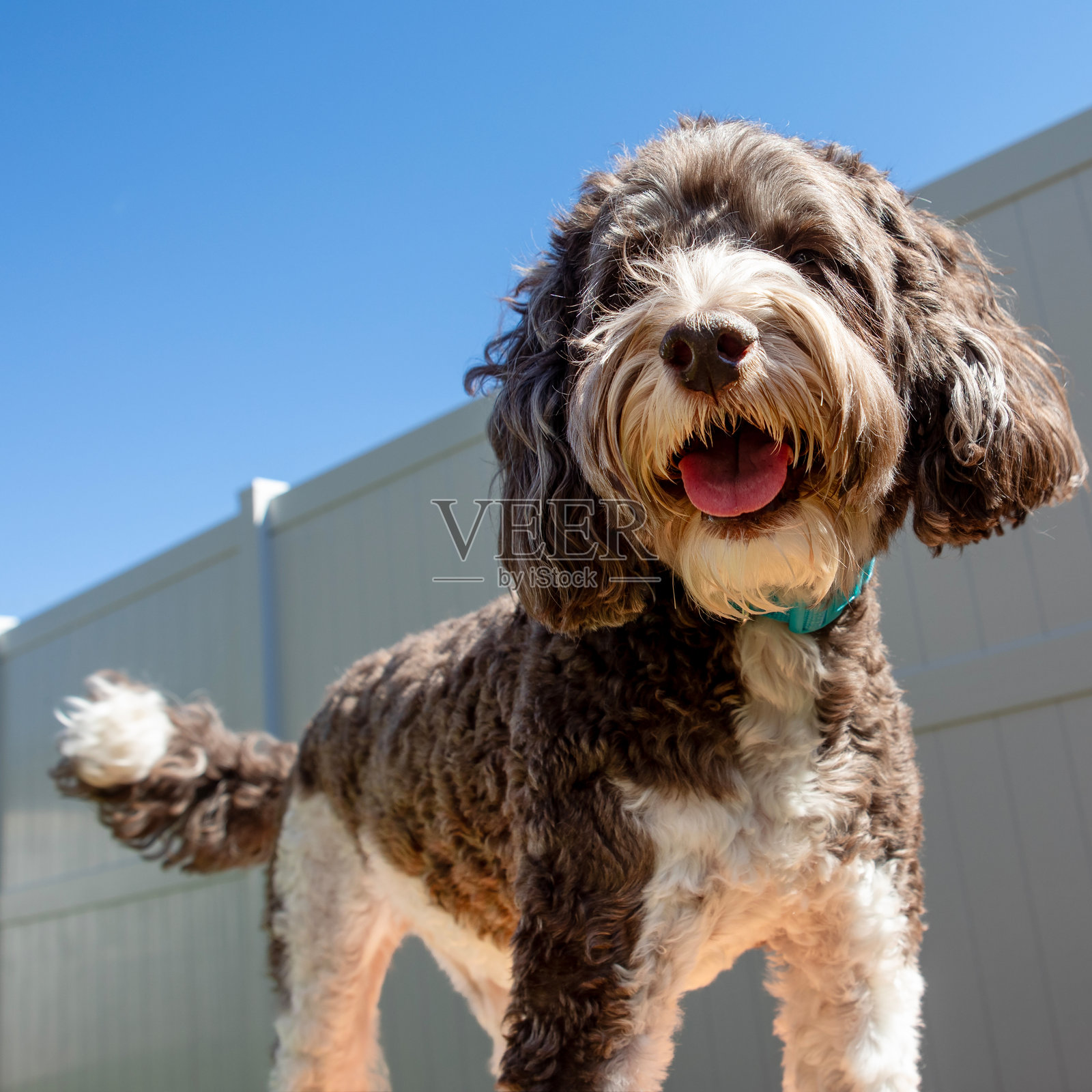 在游乐场仰望涂鸦照片摄影图片