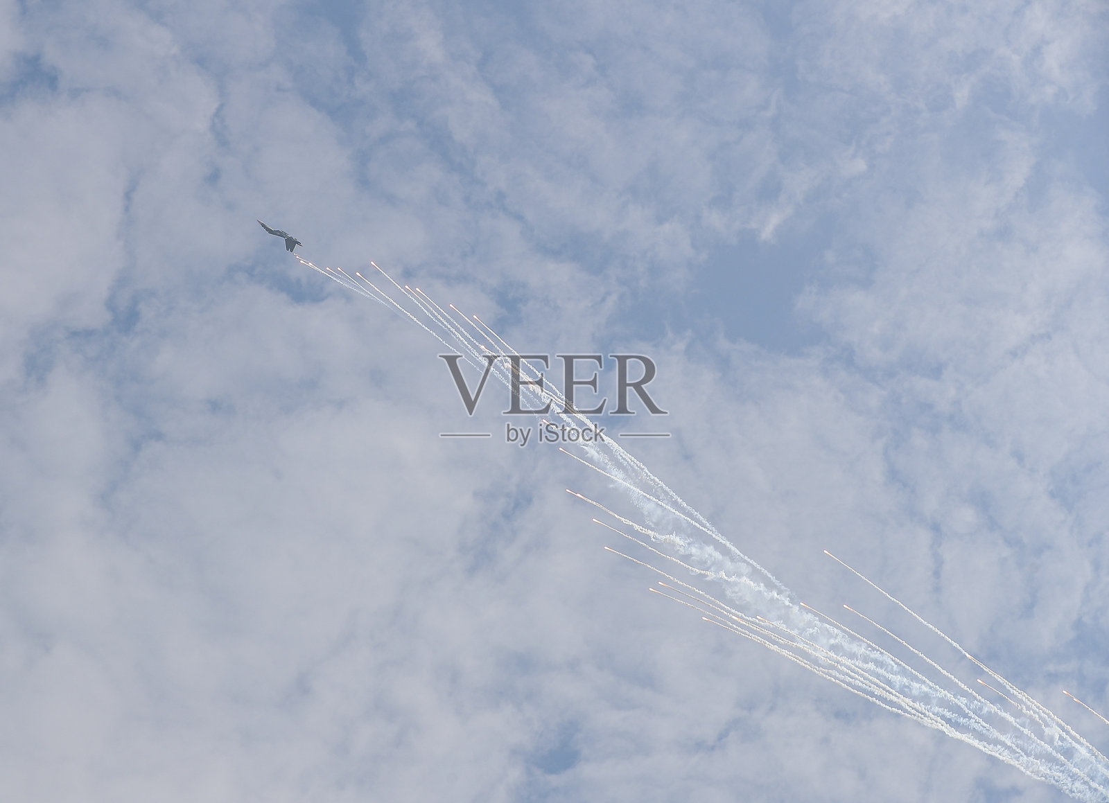 越南国际防务展览会2024开幕式照片摄影图片