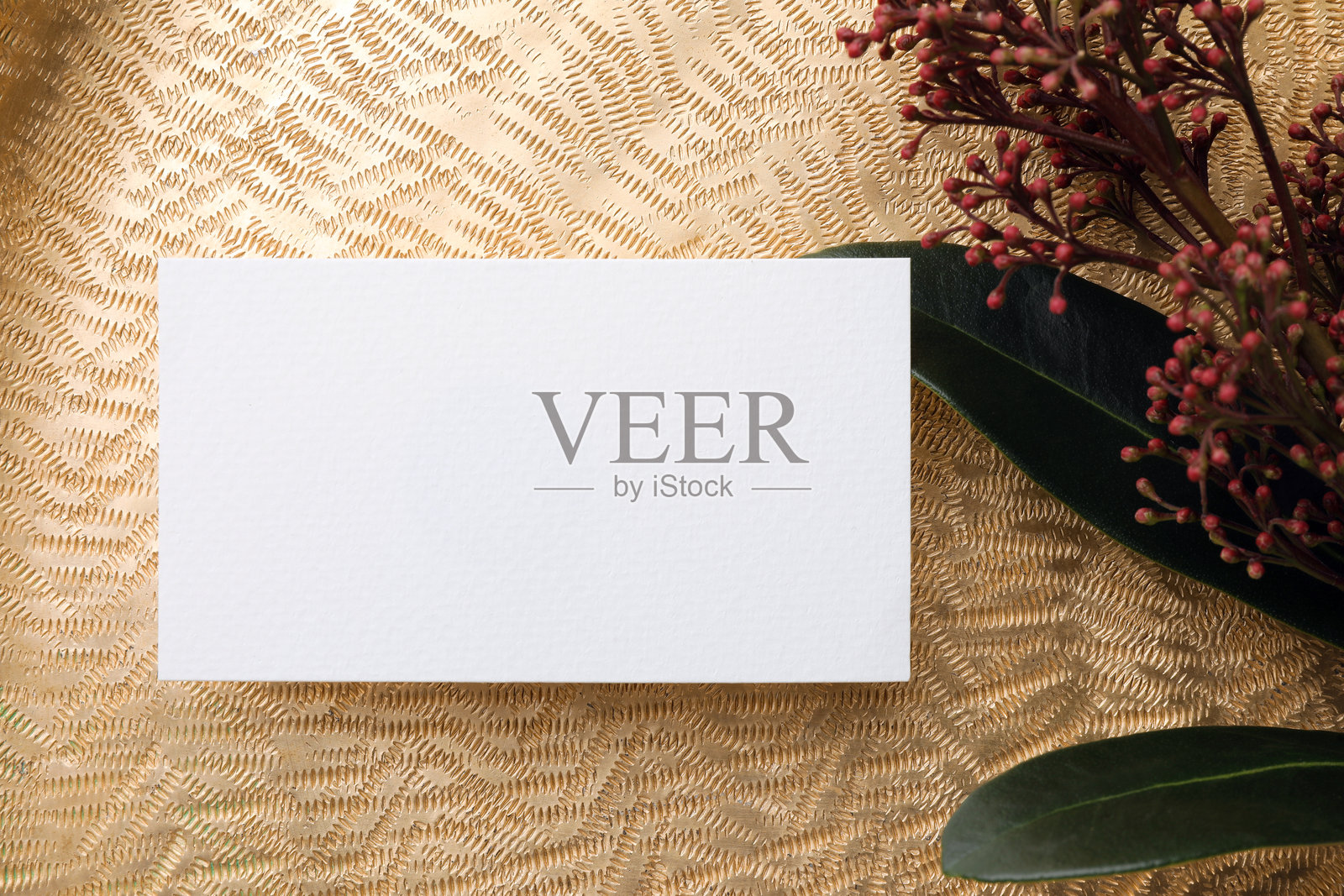 空白名片与金色背景上的美丽绿色植物，平铺展示。设计样板。照片摄影图片