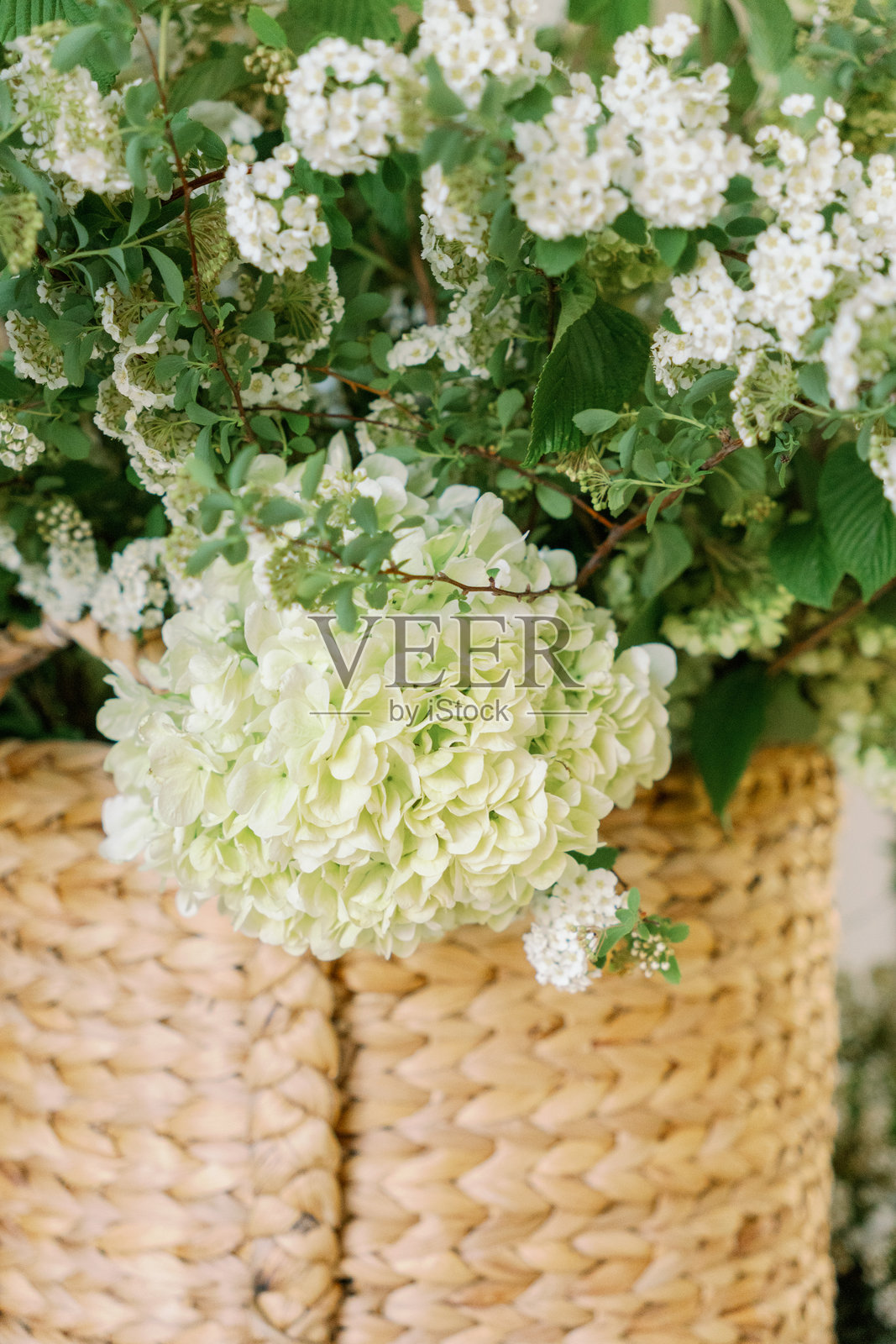 自然光下编织篮子里的特写花卉照片摄影图片