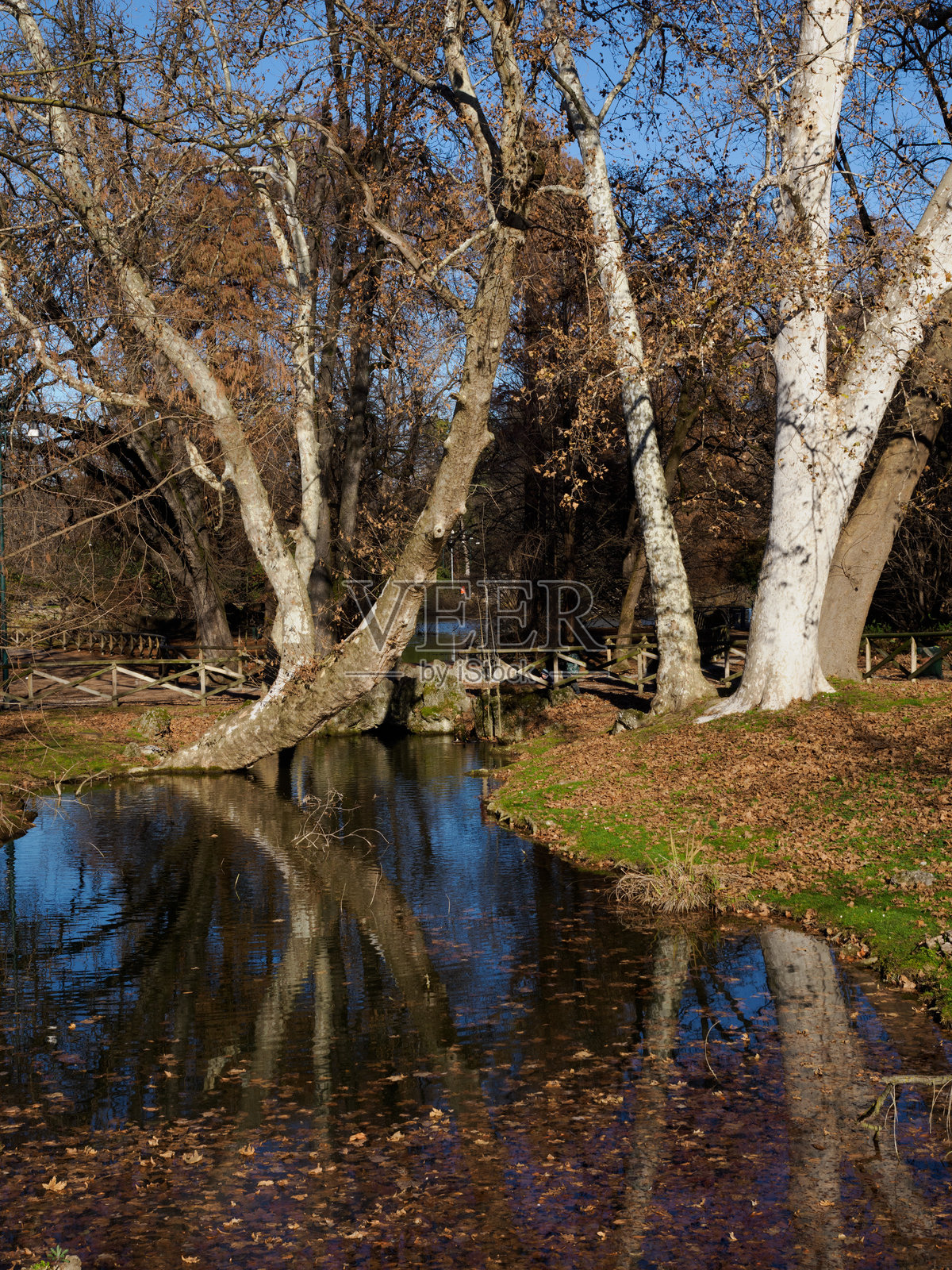 意大利米兰的塞姆皮奥内公园冬季景色照片摄影图片