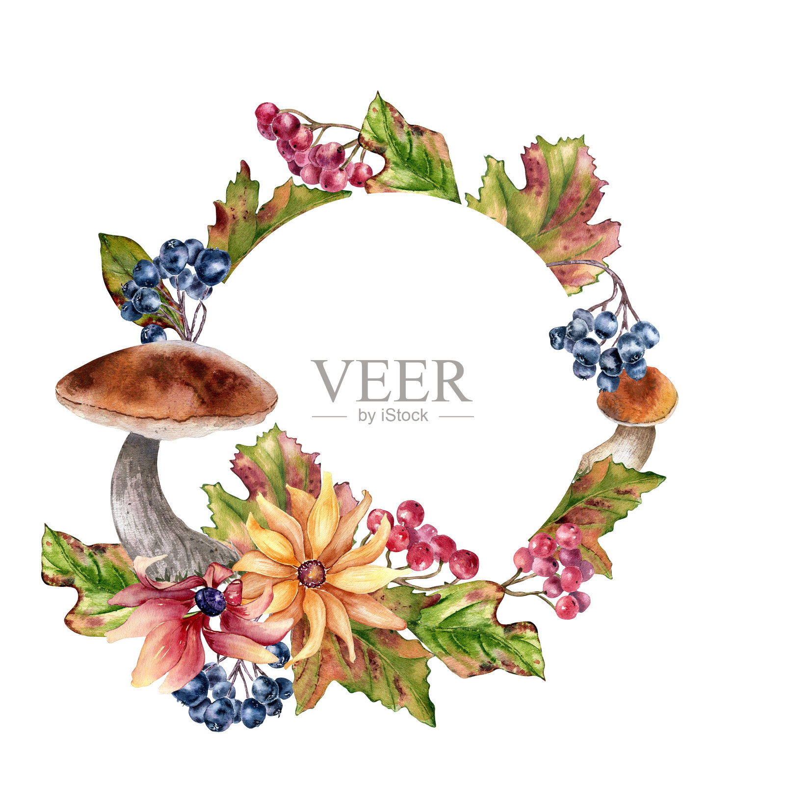 带有黄色花朵和枫叶红叶的森林圆形框架，水彩孤立的浆果。秋季花环，手绘的牛肝菌、黑果花楸和野生植物。秋季花卉植物素描。插画图片素材