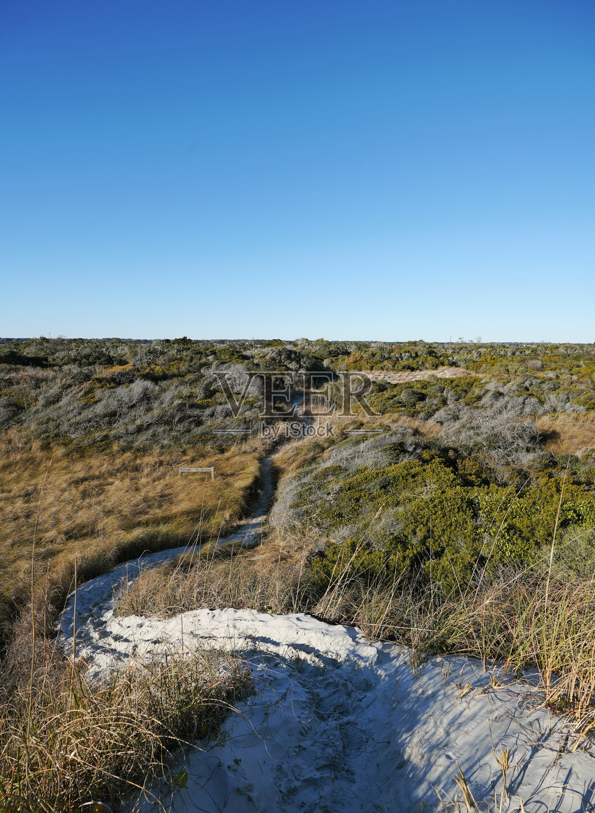 在北卡罗来纳州日落海滩的鸟岛海岸保护区内的徒步小径照片摄影图片