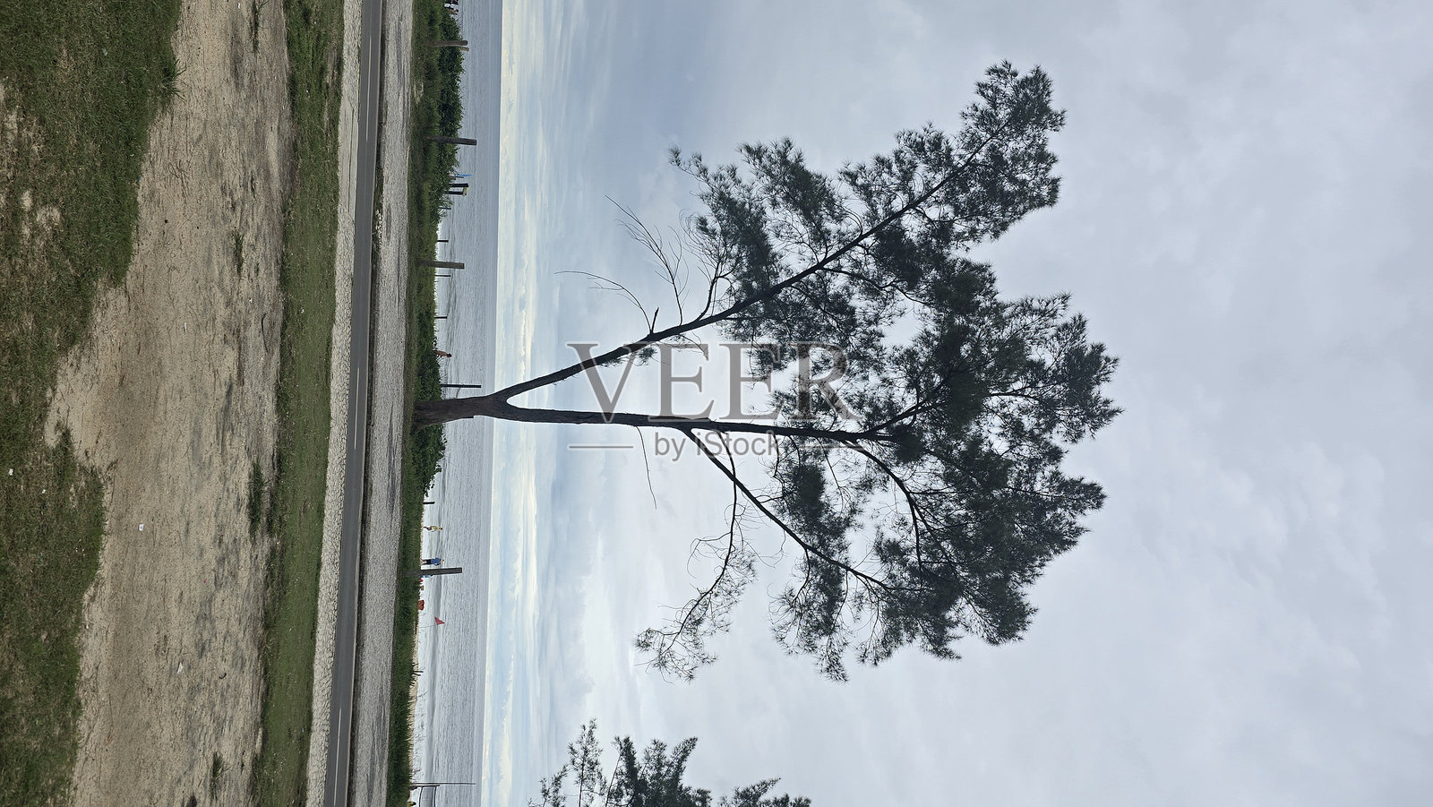 海滩的图片照片摄影图片