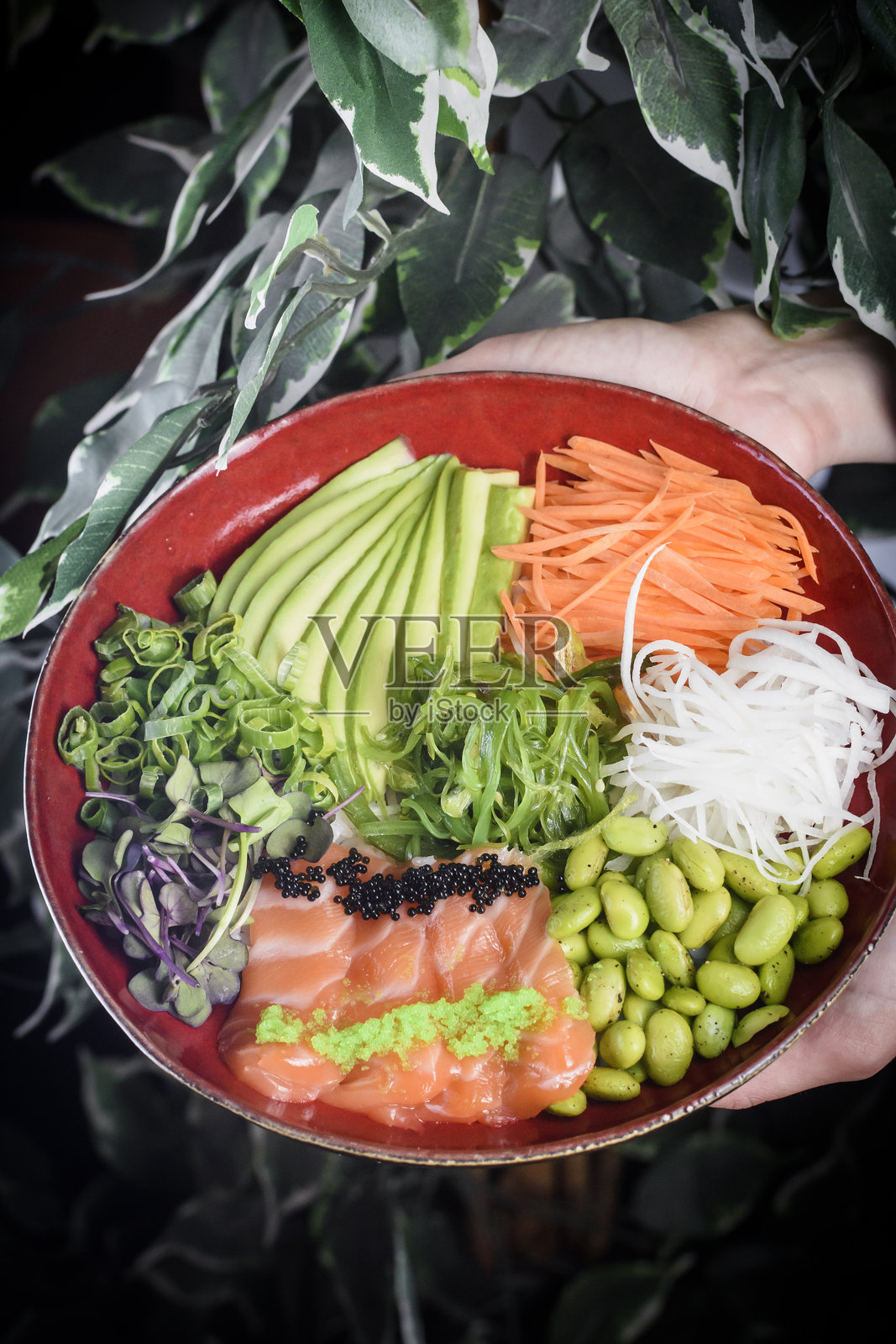 健康的波凯碗照片摄影图片