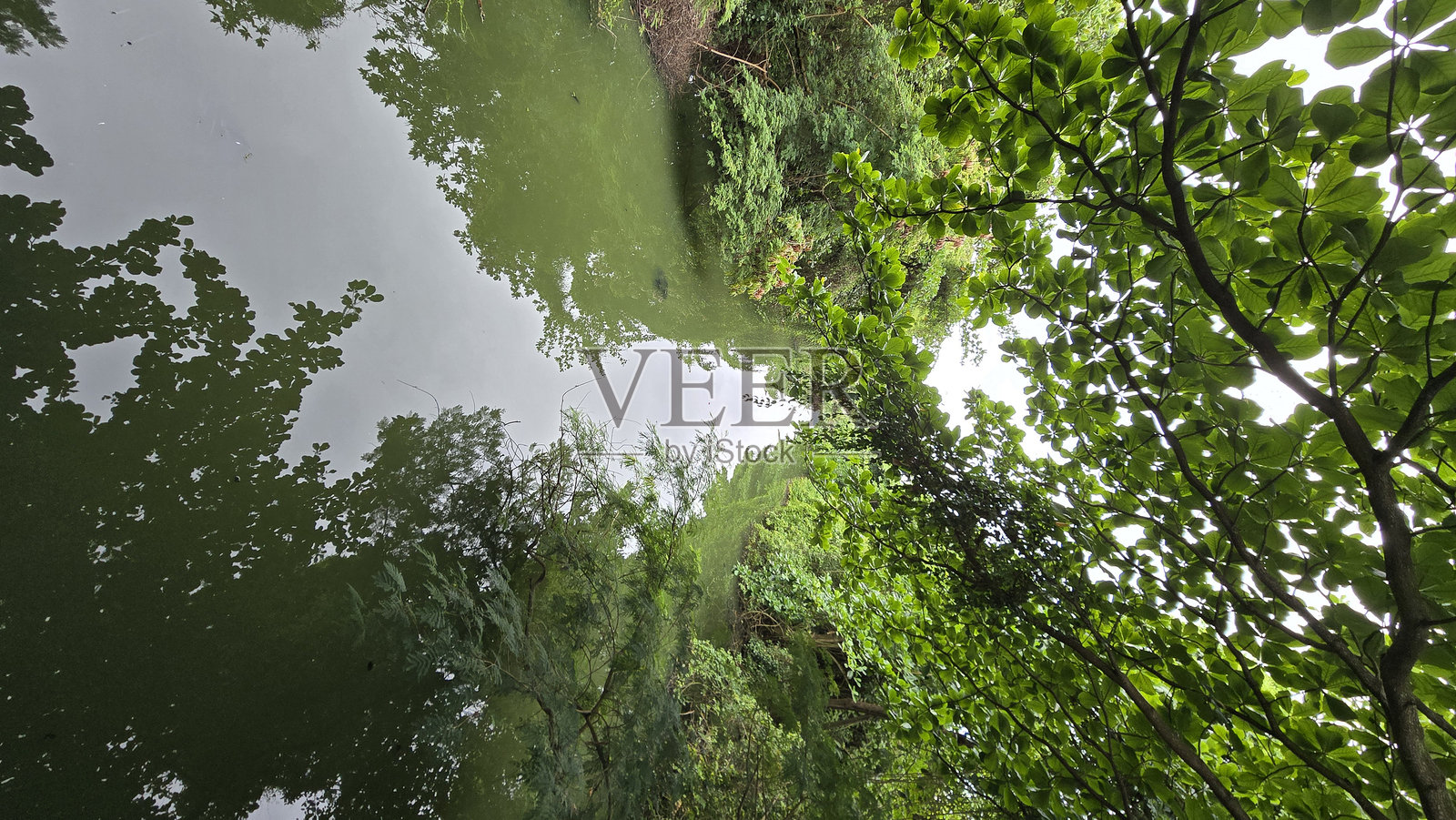 自然河流照片摄影图片