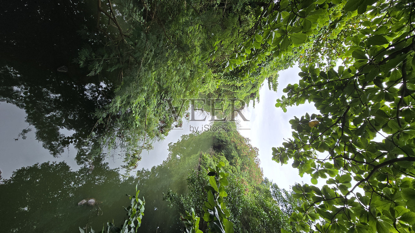 自然河流照片摄影图片