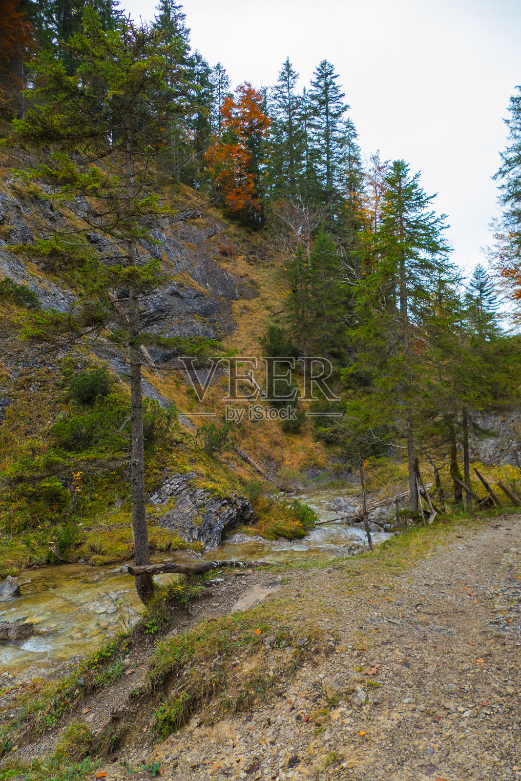 德国Pfanngraben的岩石河流景观照片摄影图片