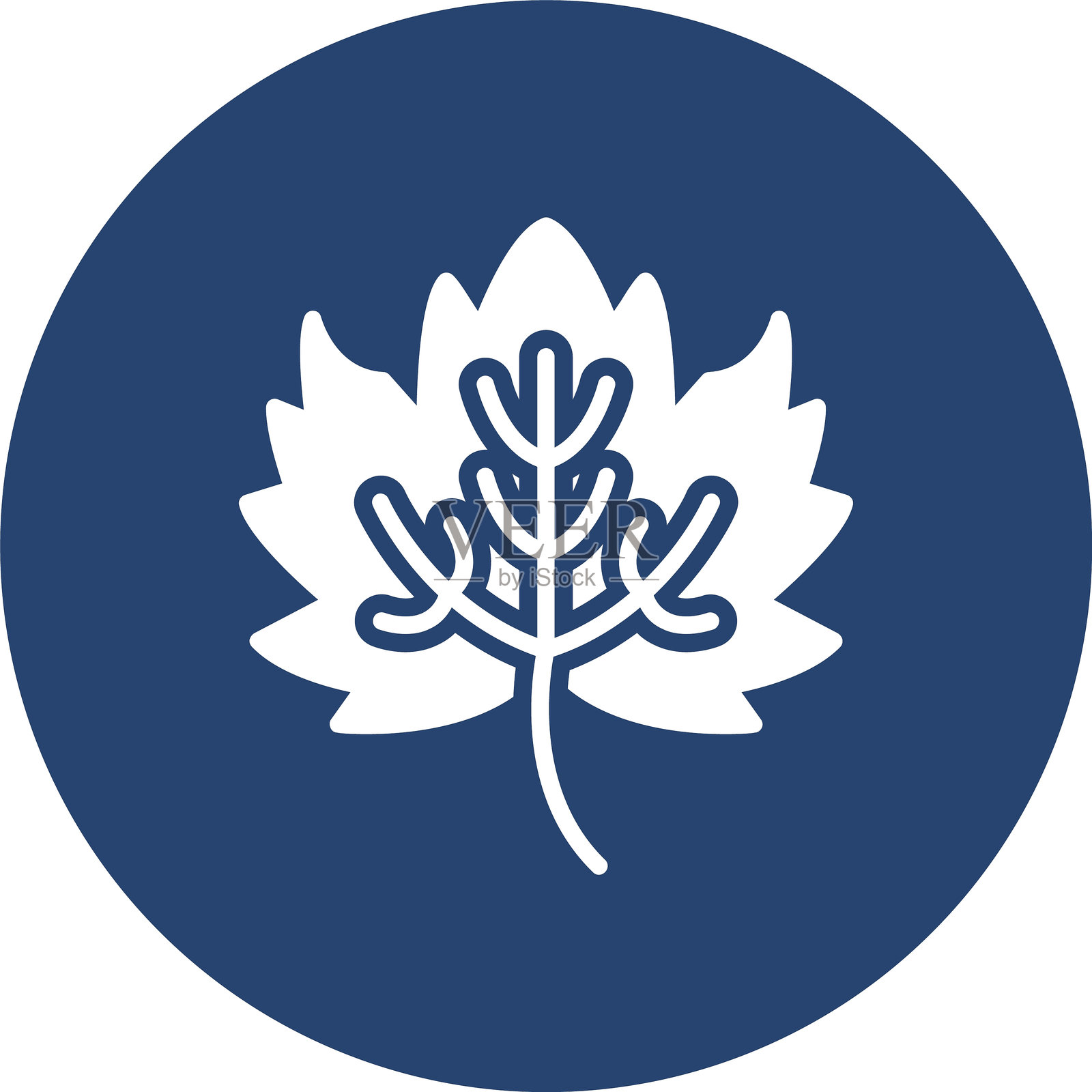 多色圆形枫叶图案插画图片素材