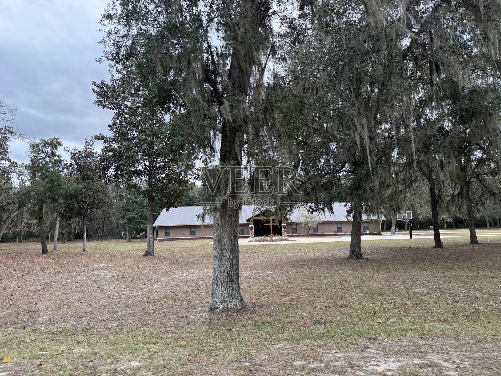 宁静的乡村环境，宽敞的院子被树木环绕，朴素的建筑在阴云密布的天空下。照片摄影图片