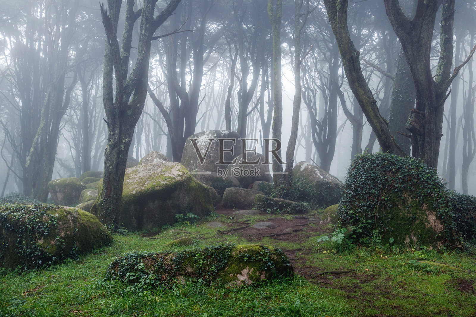 葡萄牙辛特拉山脉森林中的岩石突起，笼罩在雾气中。照片摄影图片