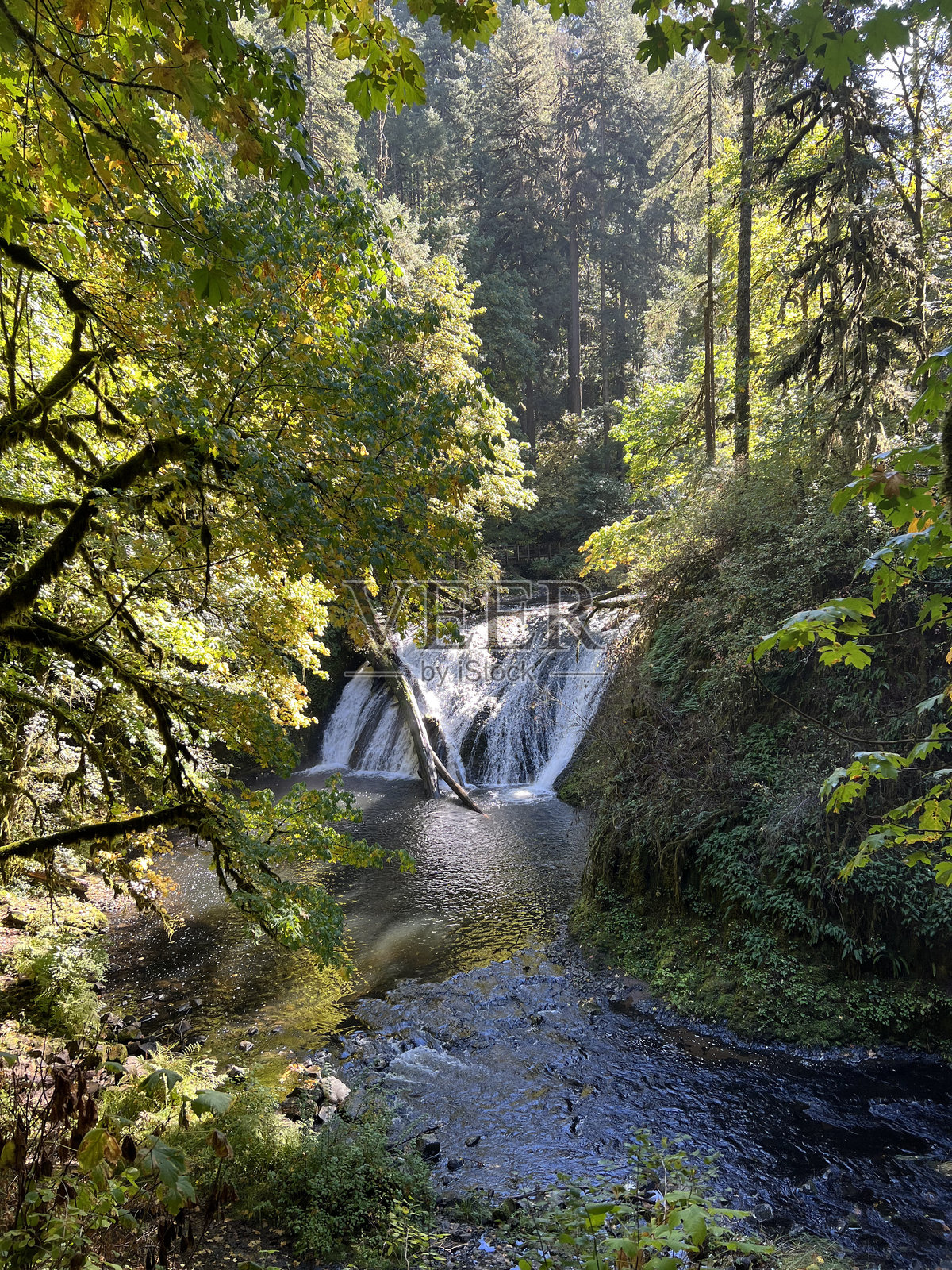 银瀑布州立公园照片摄影图片