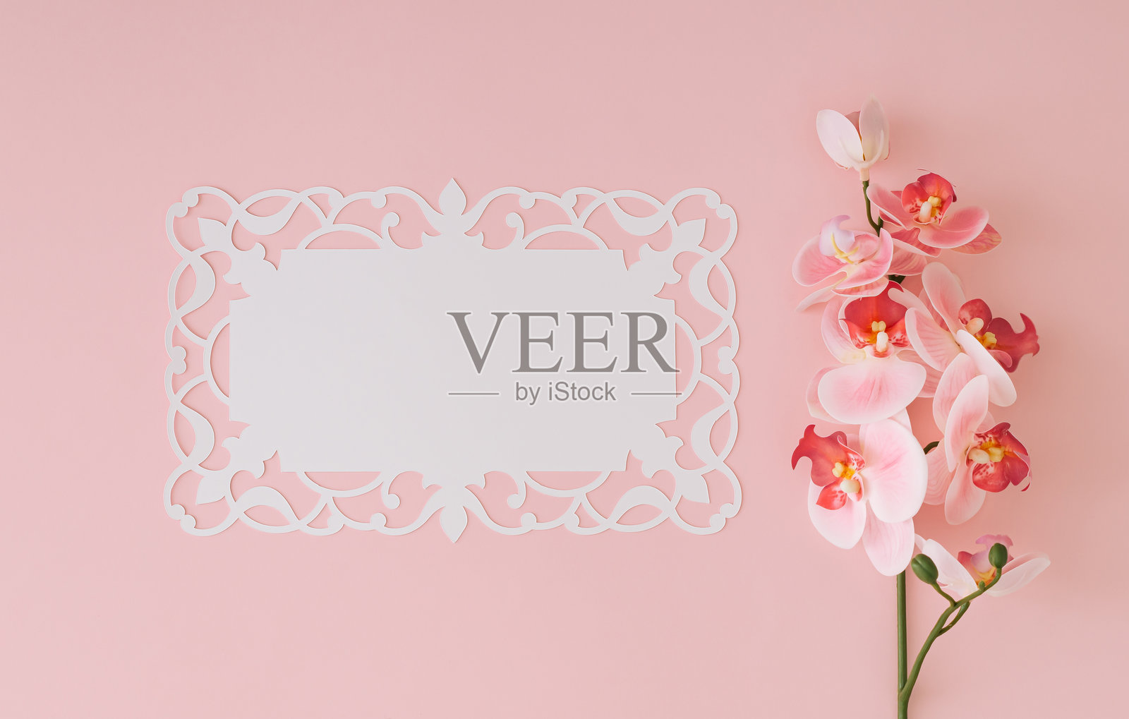 美丽的兰花在浅粉色背景上，旁边有一张白色纸卡片留白。极简的春夏概念。花卉美学。俯视平铺。照片摄影图片