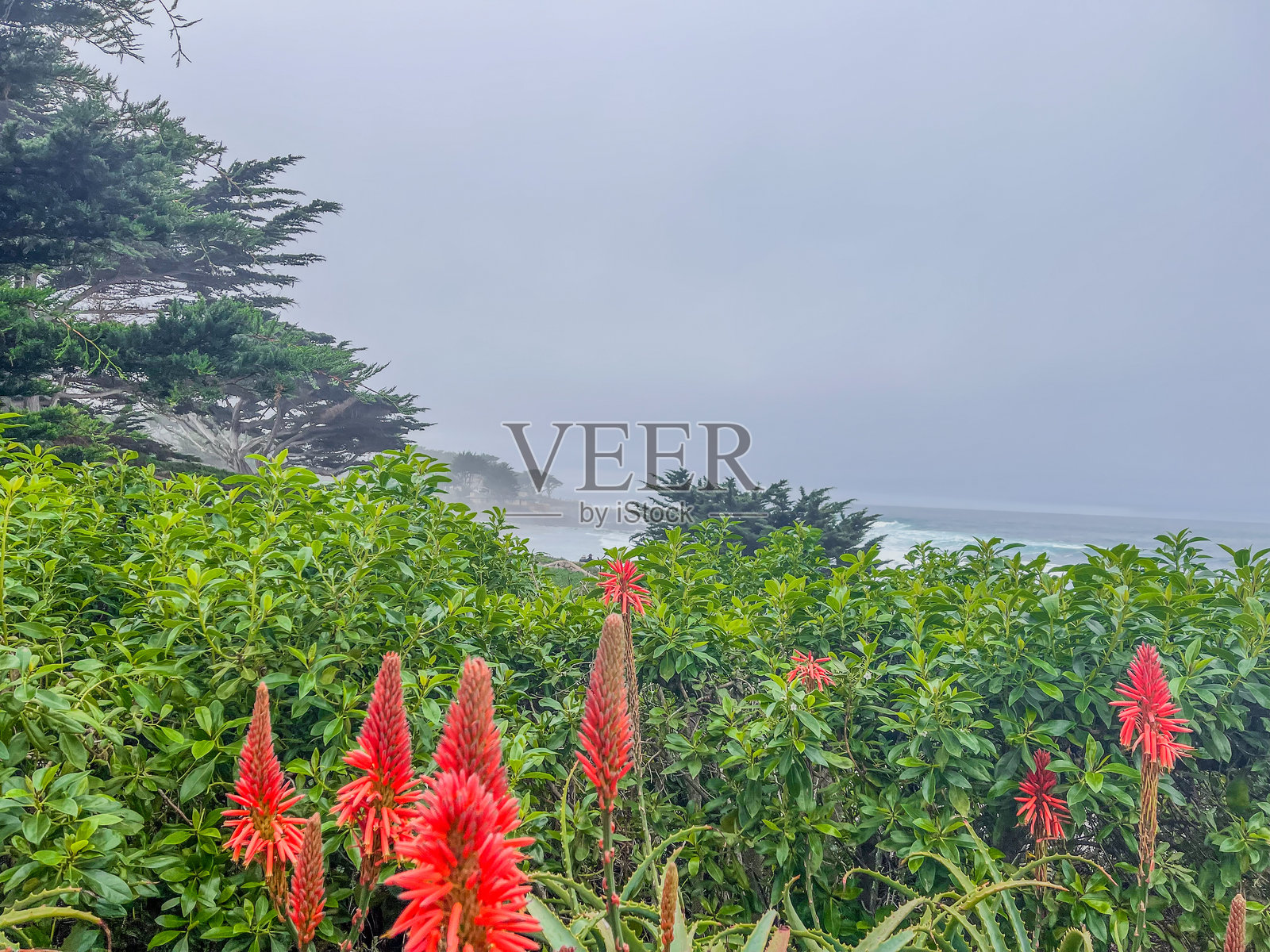 在加利福尼亚州卡梅尔海滩散步照片摄影图片