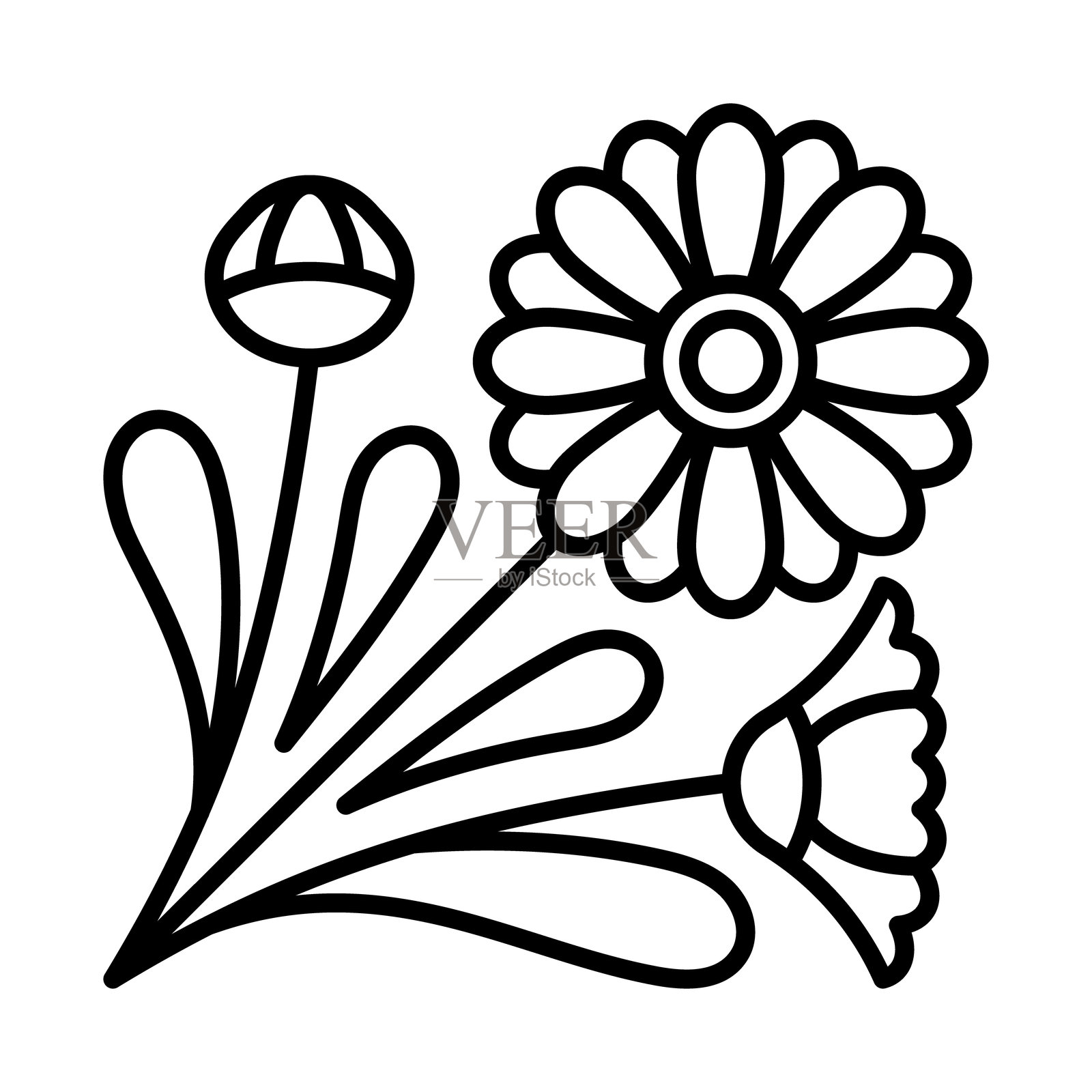 金盏花图标。盛开的花朵与叶子。线性插图，可编辑的线条。插画图片素材