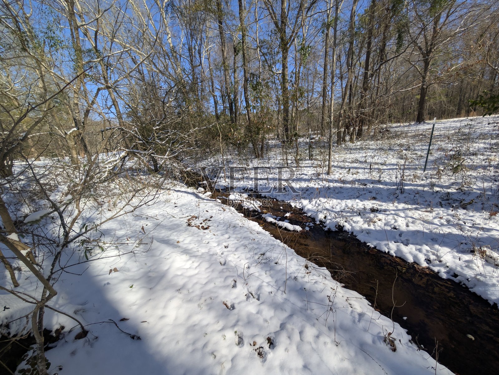 2025年大湾区暴风雪照片摄影图片