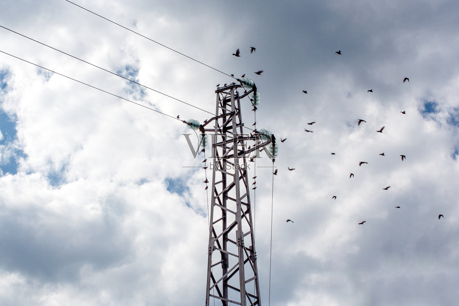 鸟儿在电塔和电缆周围盘旋照片摄影图片