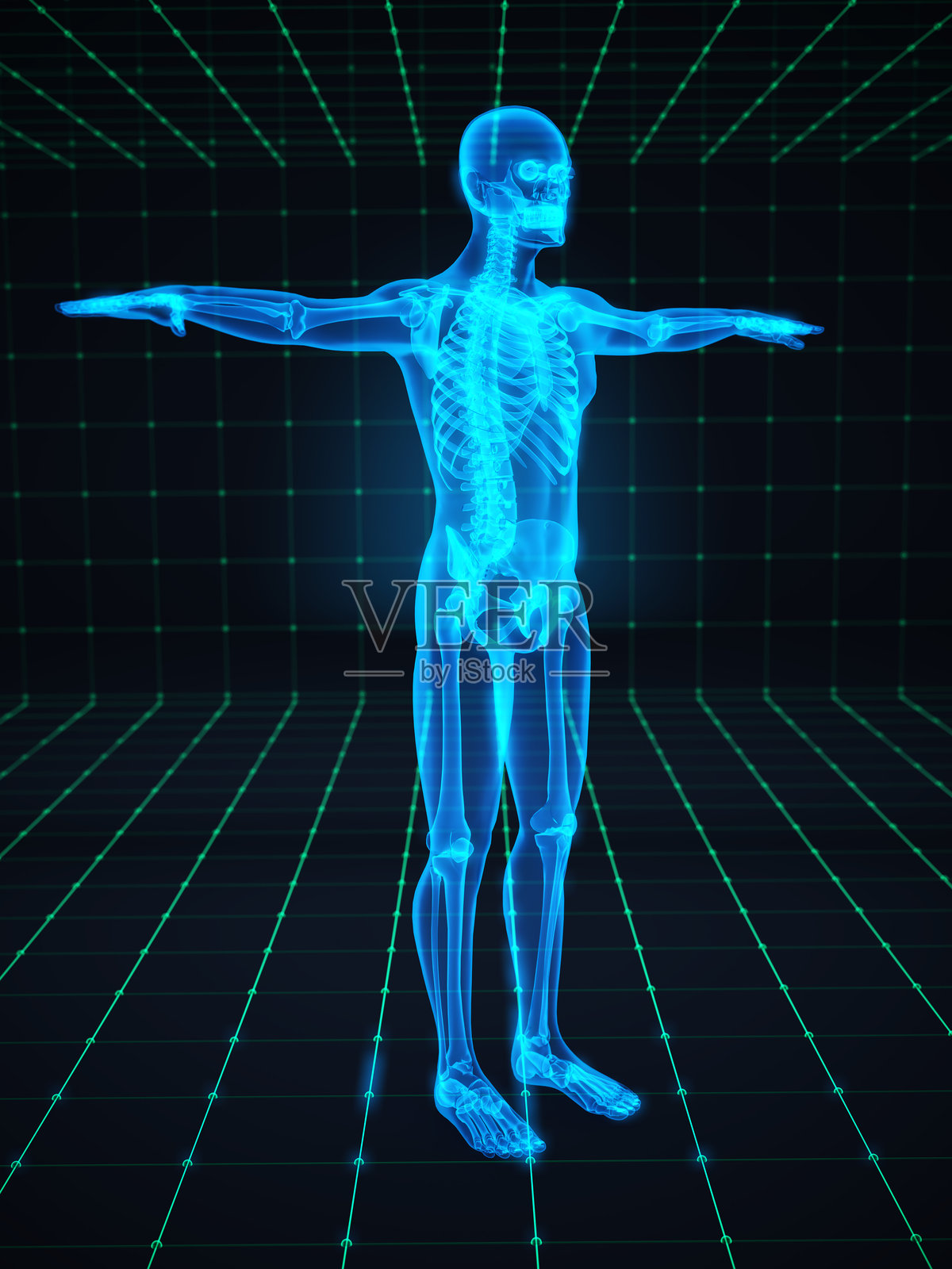 在科学展览中，利用3D全息模型在虚拟环境中探索人体解剖结构照片摄影图片