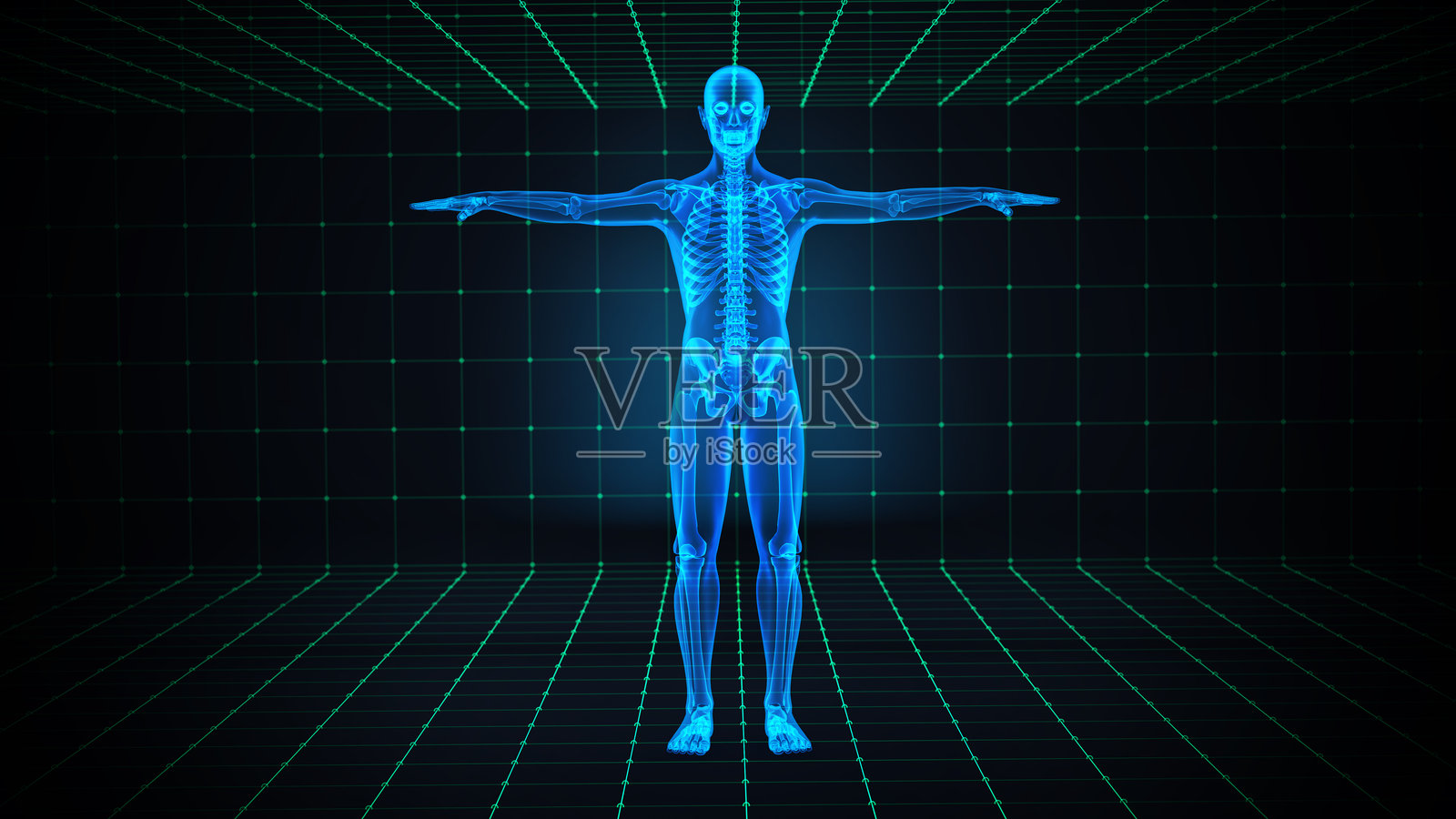 在科学展览中，利用3D全息模型在虚拟环境中探索人体解剖学照片摄影图片
