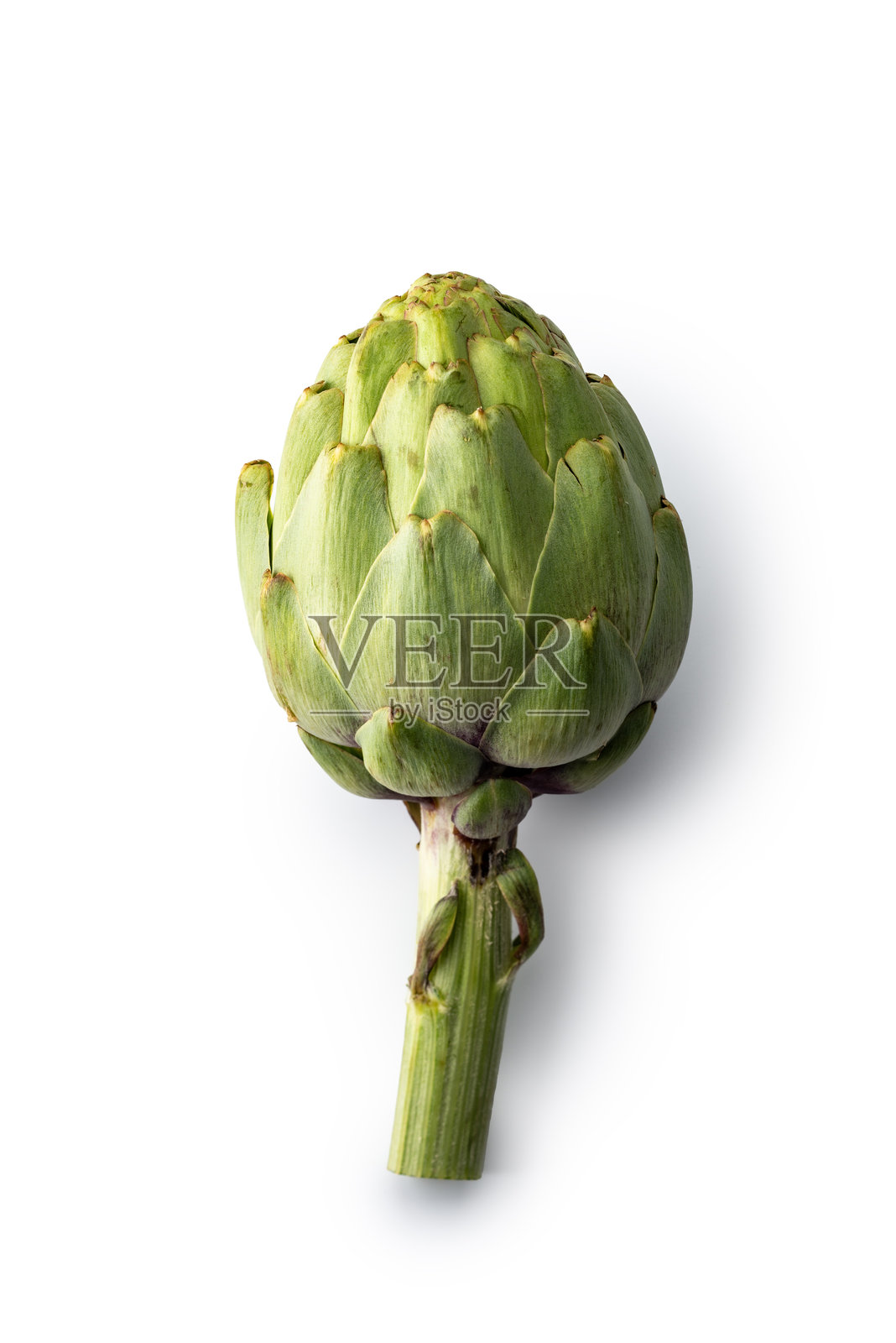 蔬菜：朝鲜蓟照片摄影图片