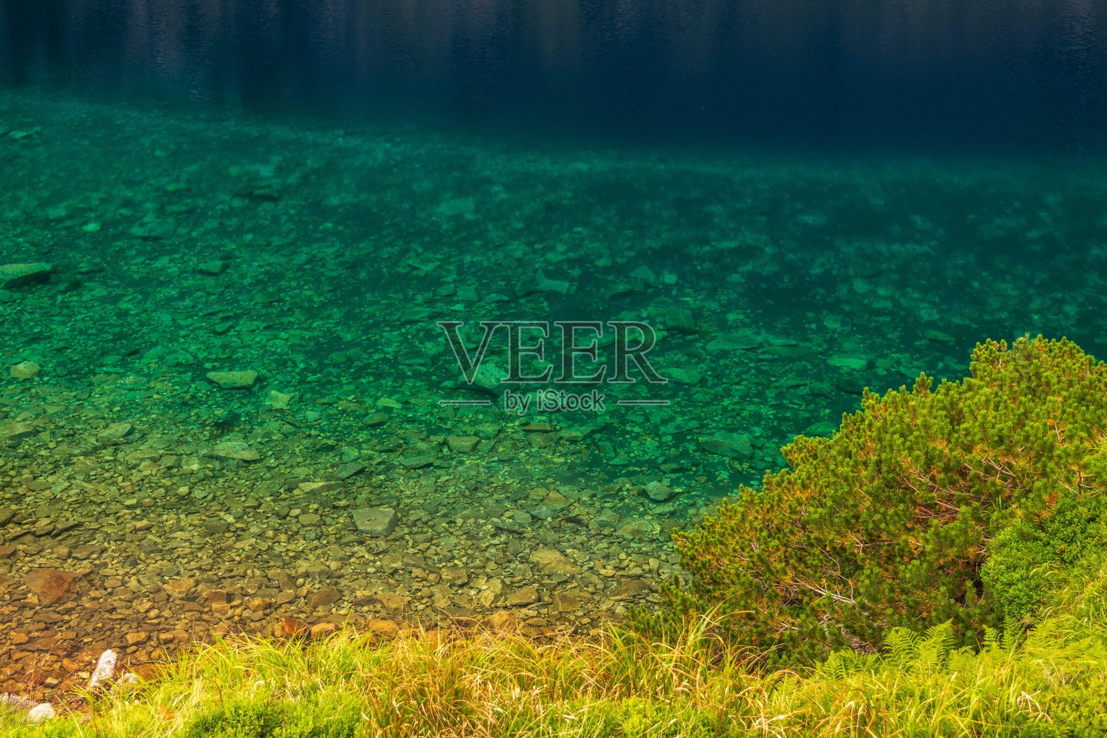 高塔特拉国家公园的阿尔卑斯湖景观，摩尔斯基奥科湖或海眼湖照片摄影图片