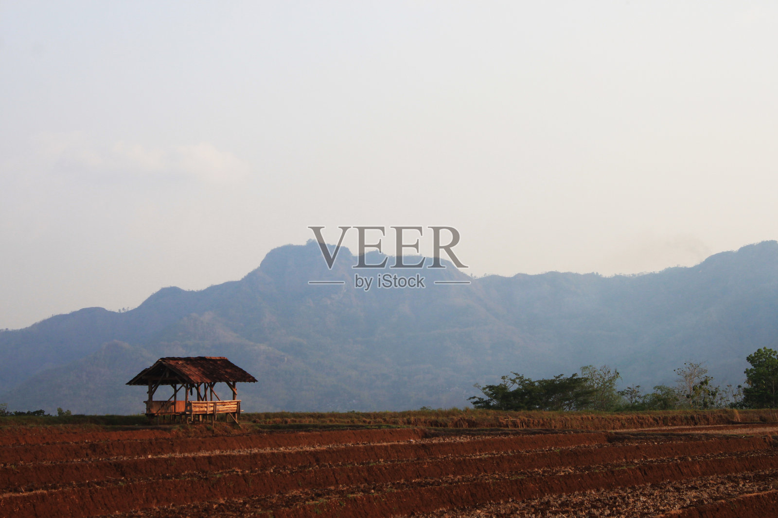 干旱稻田的风景照片照片摄影图片