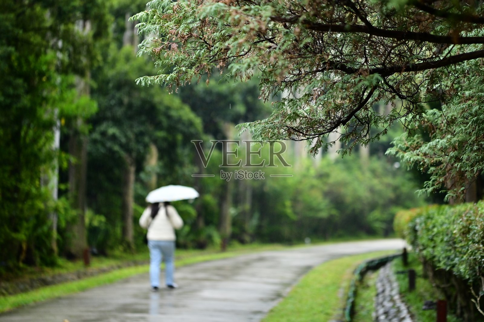 走在雨中的冬季风景中照片摄影图片