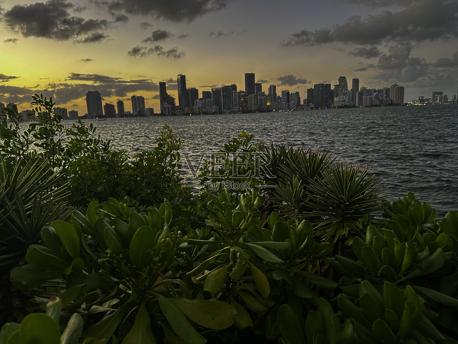 从弗吉尼亚礁俯瞰迈阿密的景色照片摄影图片