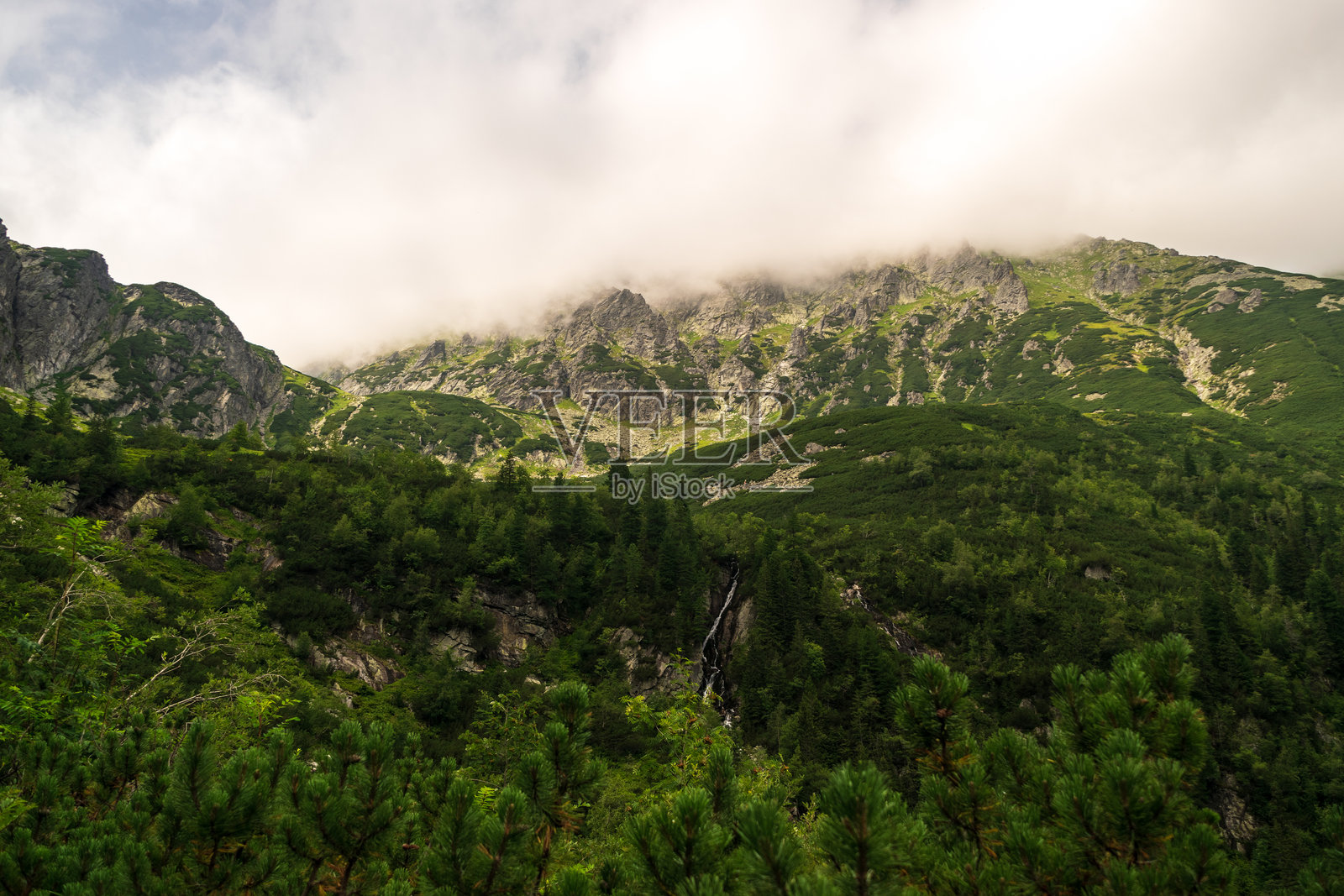 高塔特拉国家公园的山地风景，阴云密布的天气下，黑暗的云杉森林。照片摄影图片